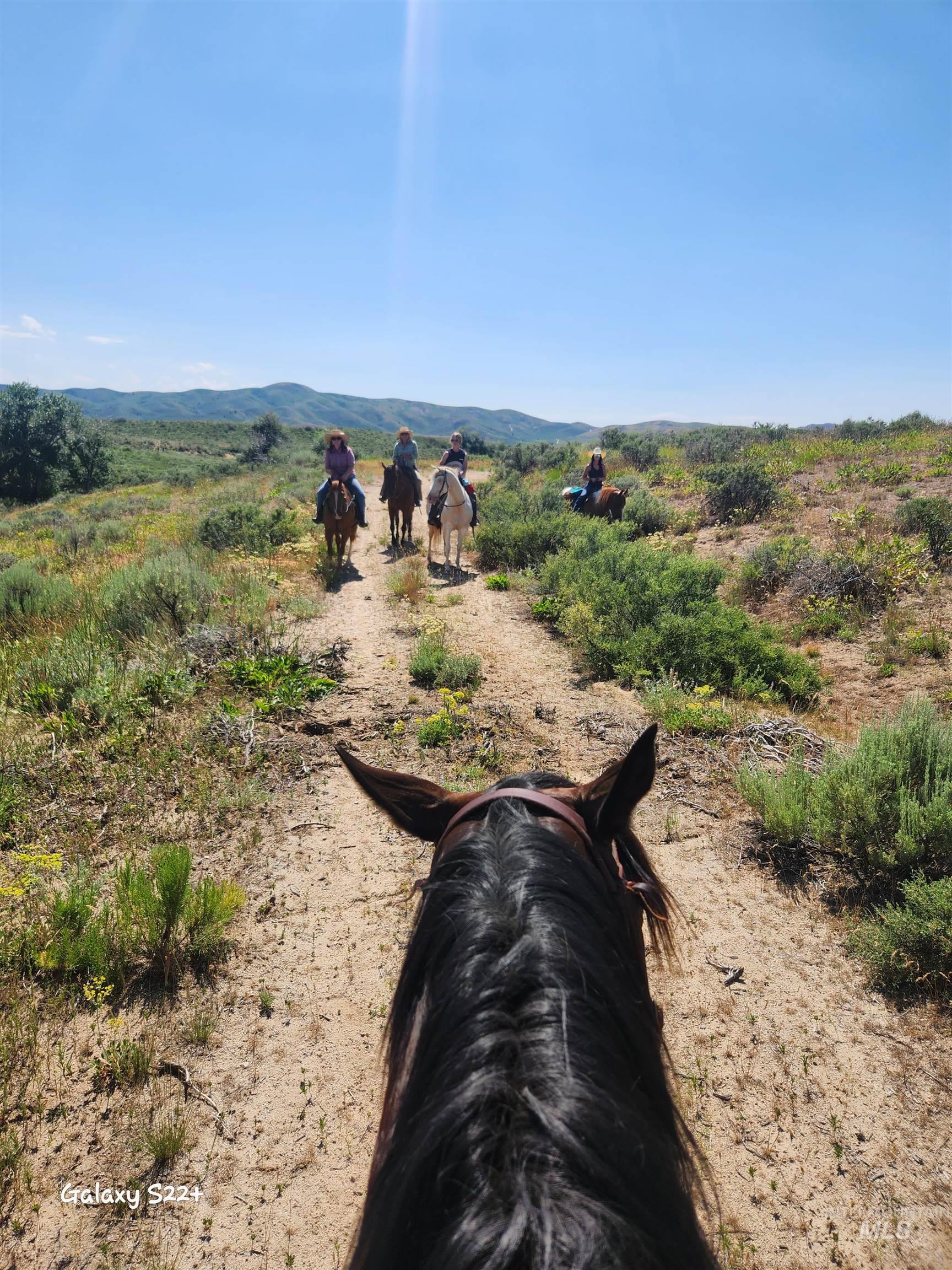Ray Hunt Ranch, Mountain Home, Idaho 83647, 3 Bedrooms, 3 Bathrooms, Farm & Ranch For Sale, Price $4,500,000,MLS 98943743