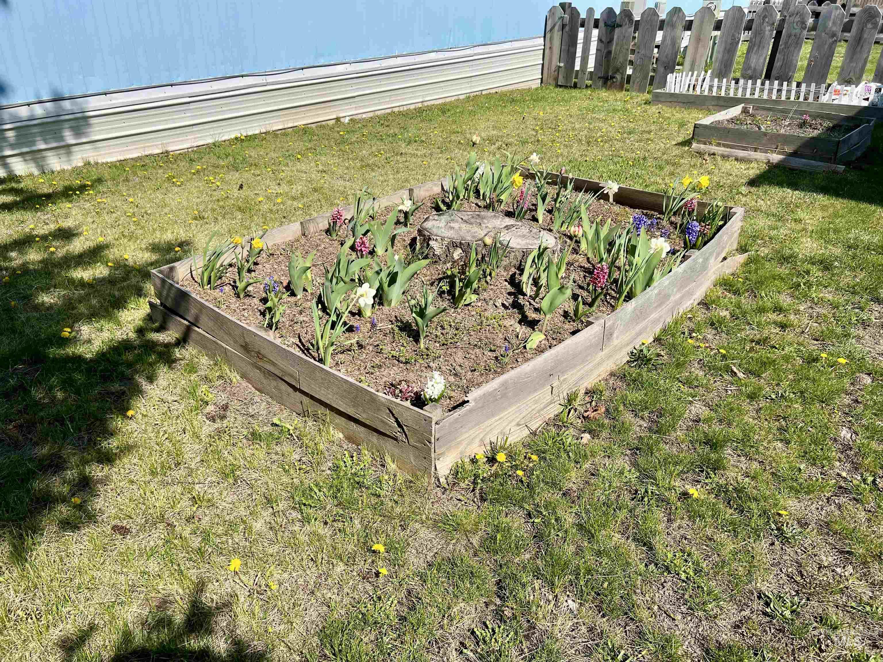 411 N Almon, Moscow, Idaho 83843, 2 Bedrooms, 1 Bathroom, Residential For Sale, Price $30,000, 98943904