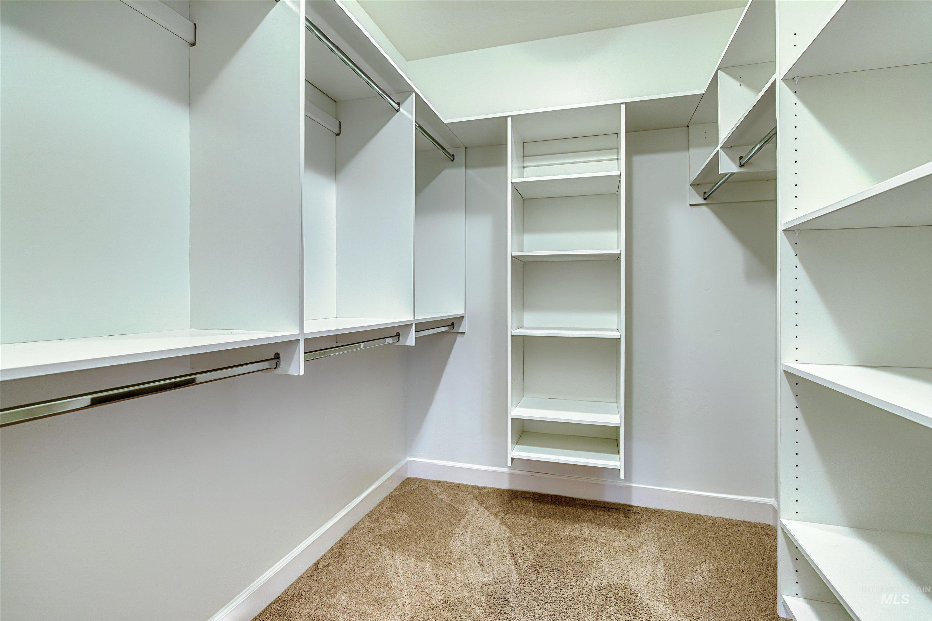 Walk in closet with light carpet