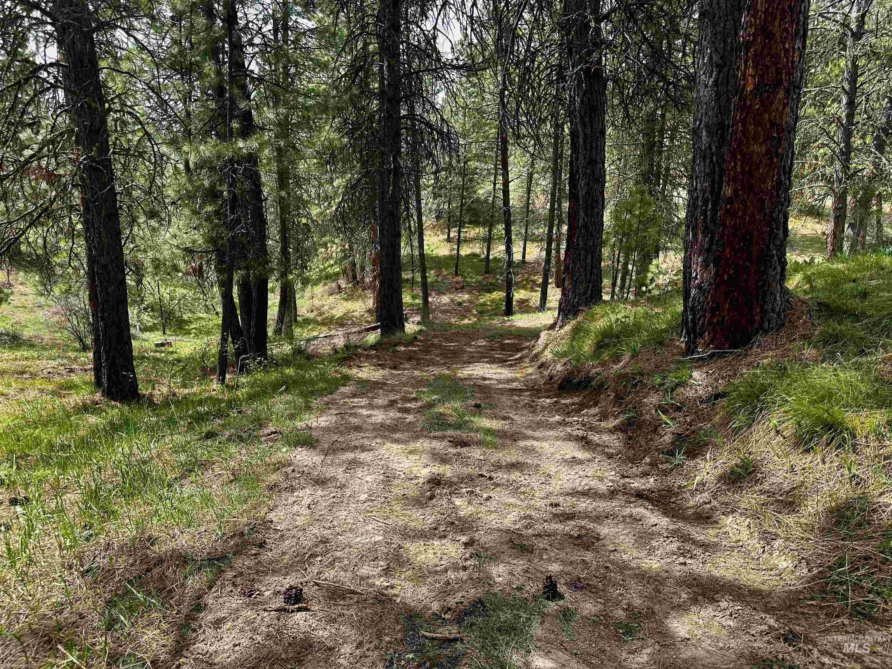 TBD Midgaard Way - Tract 7, Boise, Idaho 83716, Land For Sale, Price $150,000, 98944491