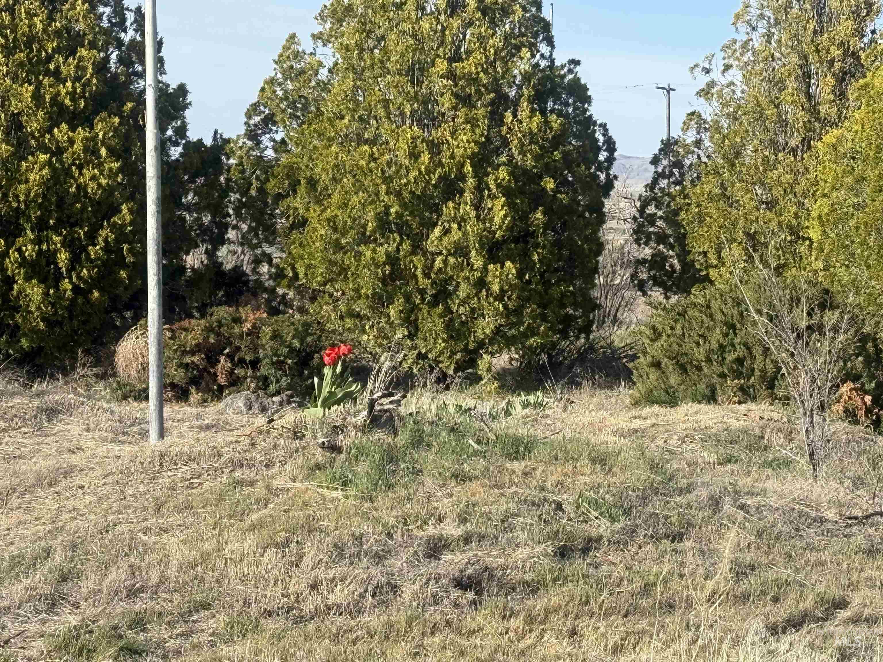 4781 Old HWY 30, Mountain Home, Idaho 83647, 3 Bedrooms, 1 Bathroom, Residential For Sale, Price $345,000,MLS 98944587