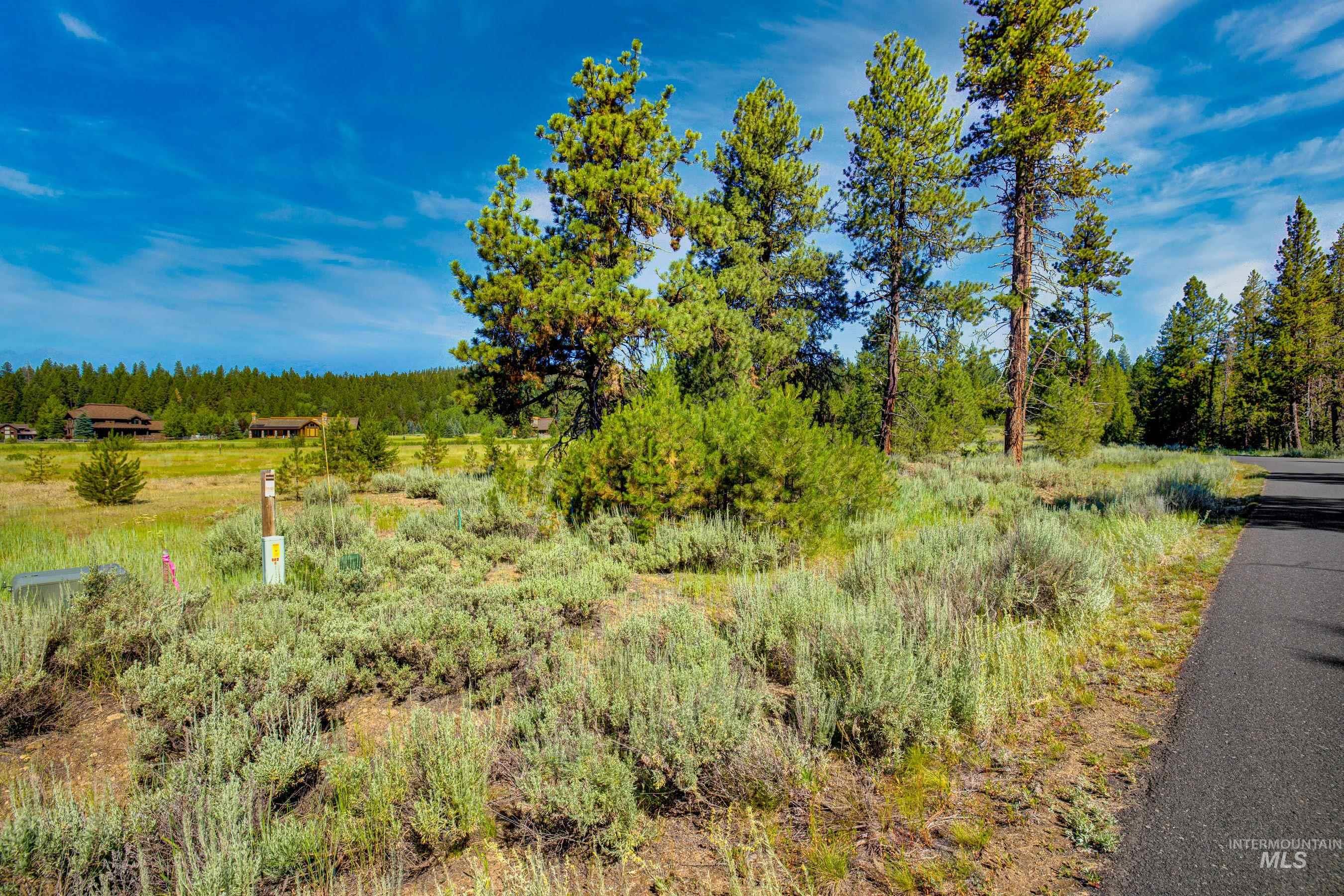 86 Fawnlilly, McCall, Idaho 83638, Land For Sale, Price $159,000, 98944714