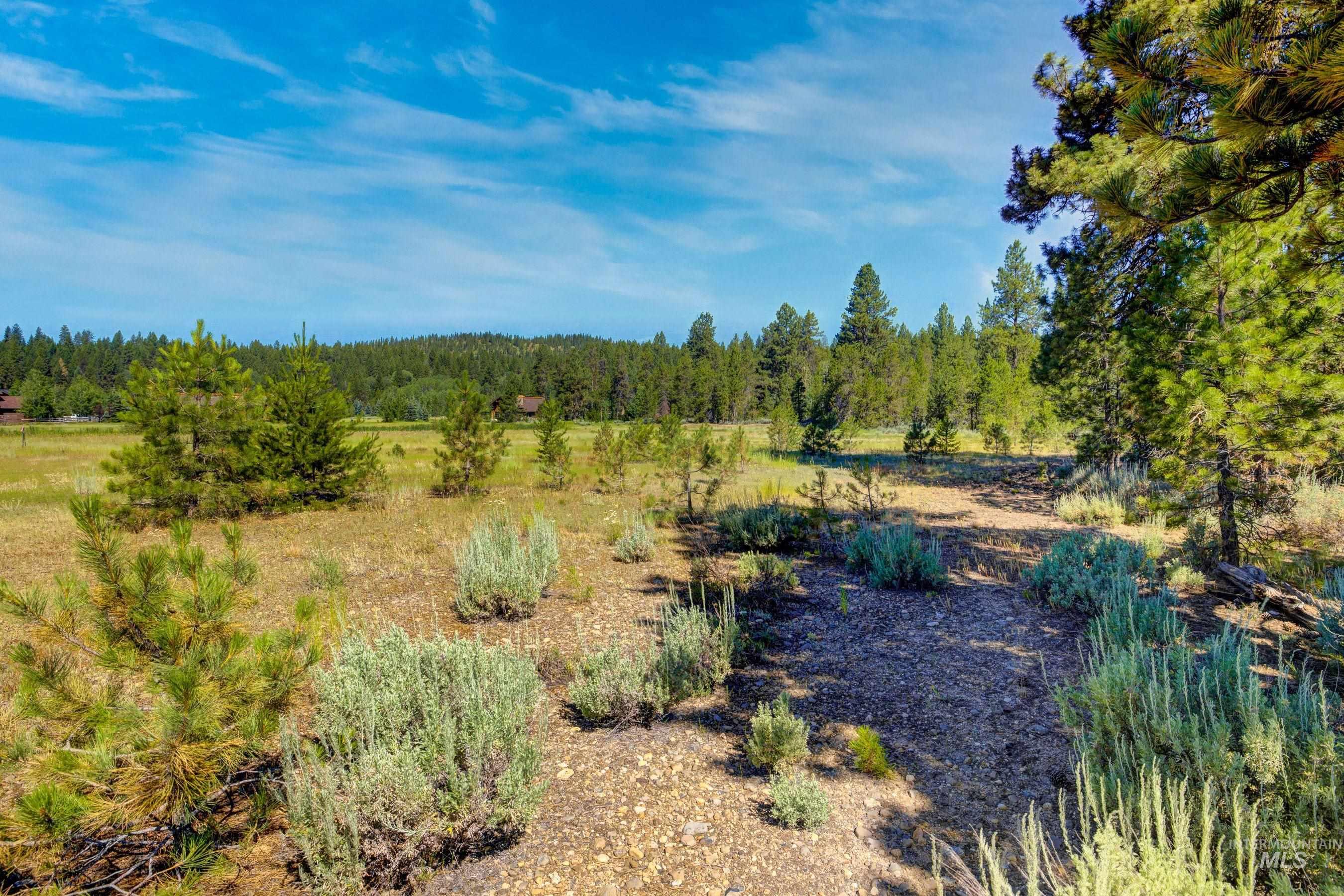 86 Fawnlilly, McCall, Idaho 83638, Land For Sale, Price $159,000, 98944714