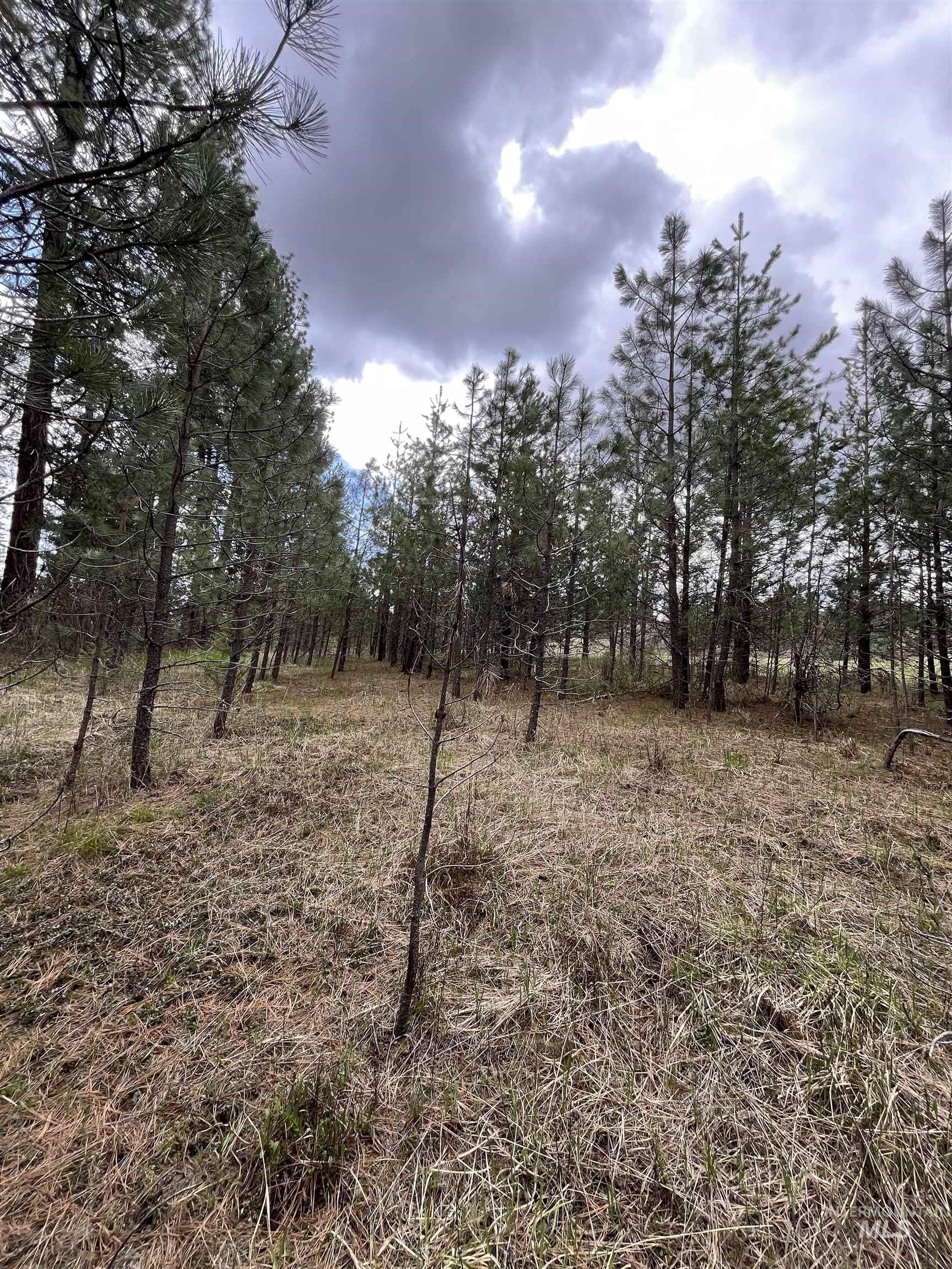 TBD HWY 3, Deary, Idaho 83823, Land For Sale, Price $125,000,MLS 98944810