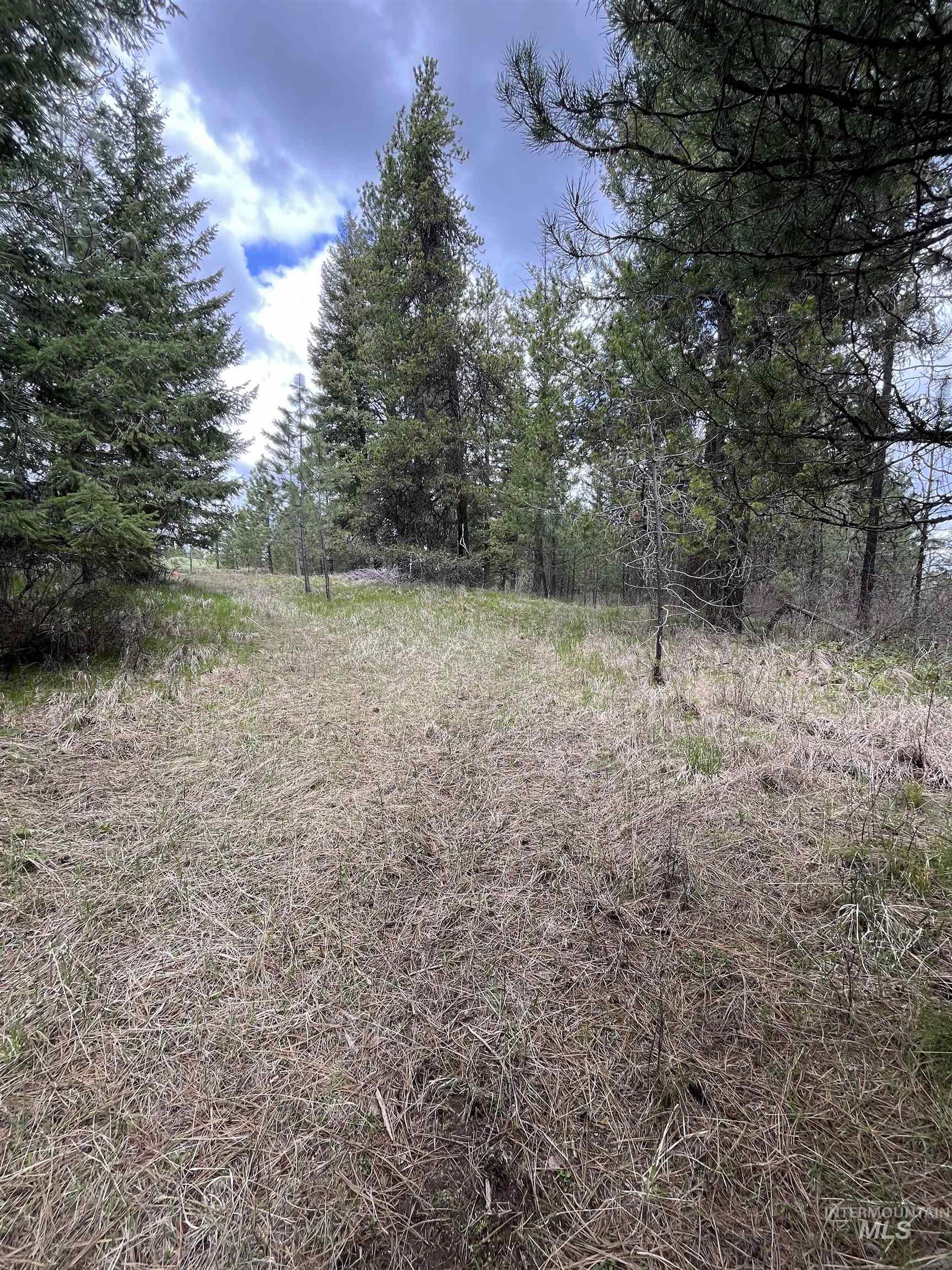 TBD HWY 3, Deary, Idaho 83823, Land For Sale, Price $125,000,MLS 98944810