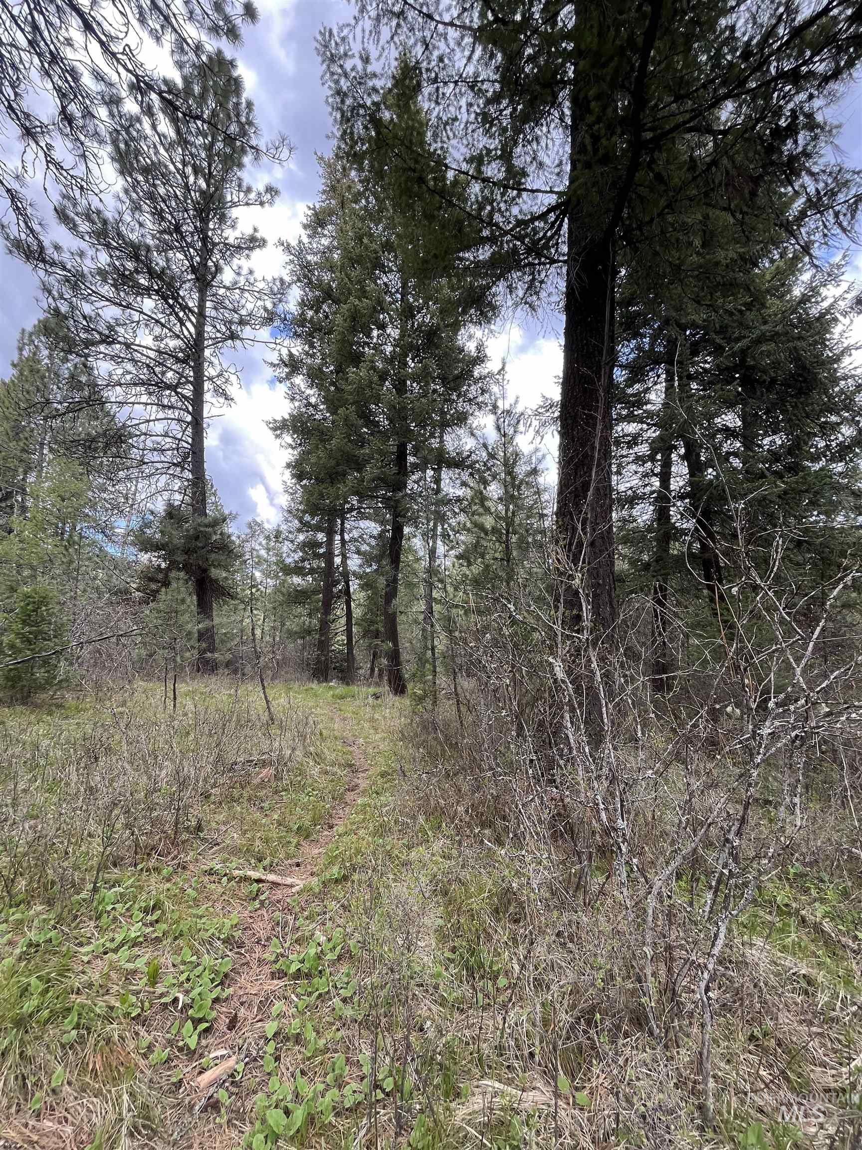 TBD HWY 3, Deary, Idaho 83823, Land For Sale, Price $125,000,MLS 98944810