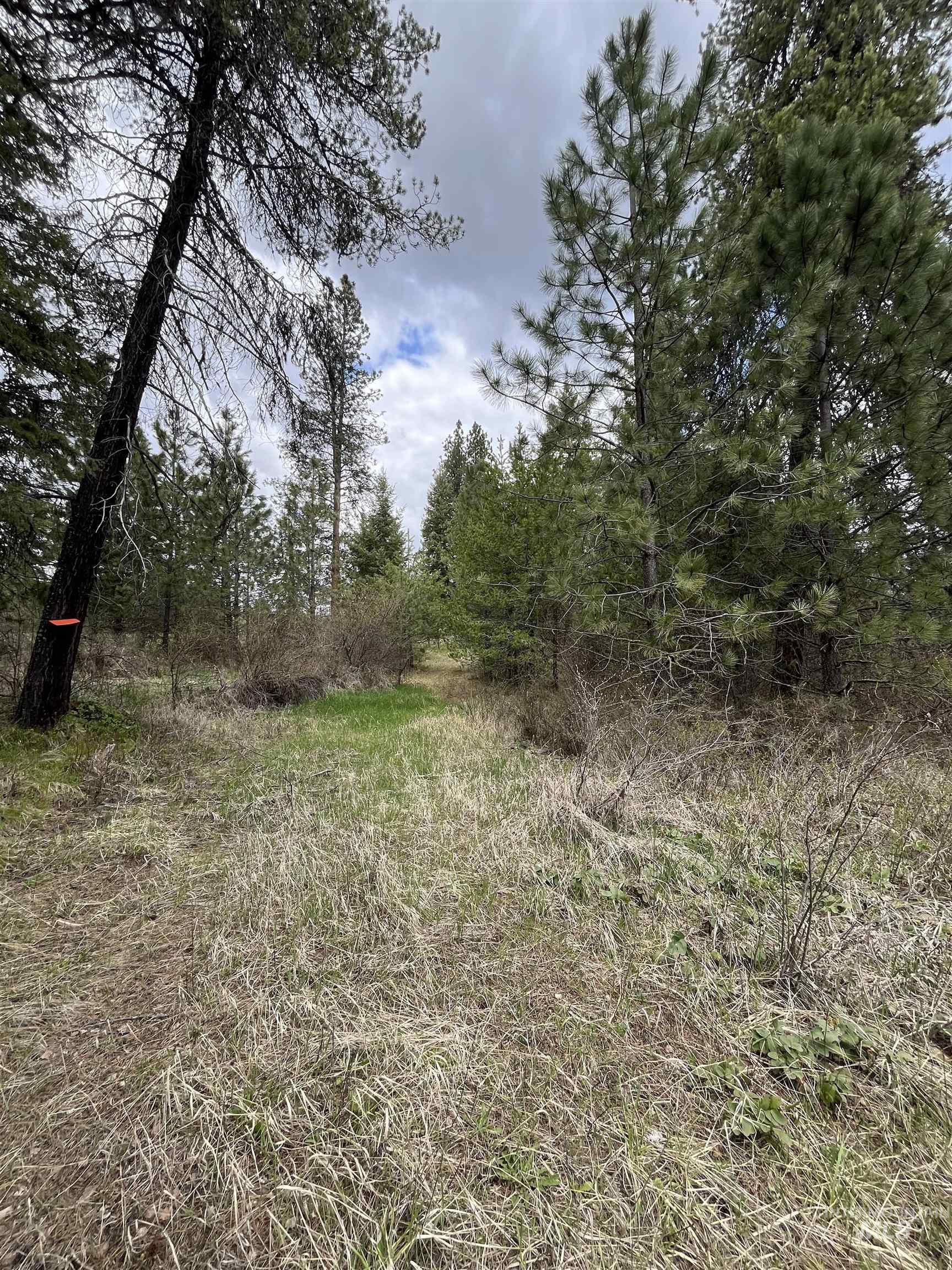 TBD HWY 3, Deary, Idaho 83823, Land For Sale, Price $125,000,MLS 98944810