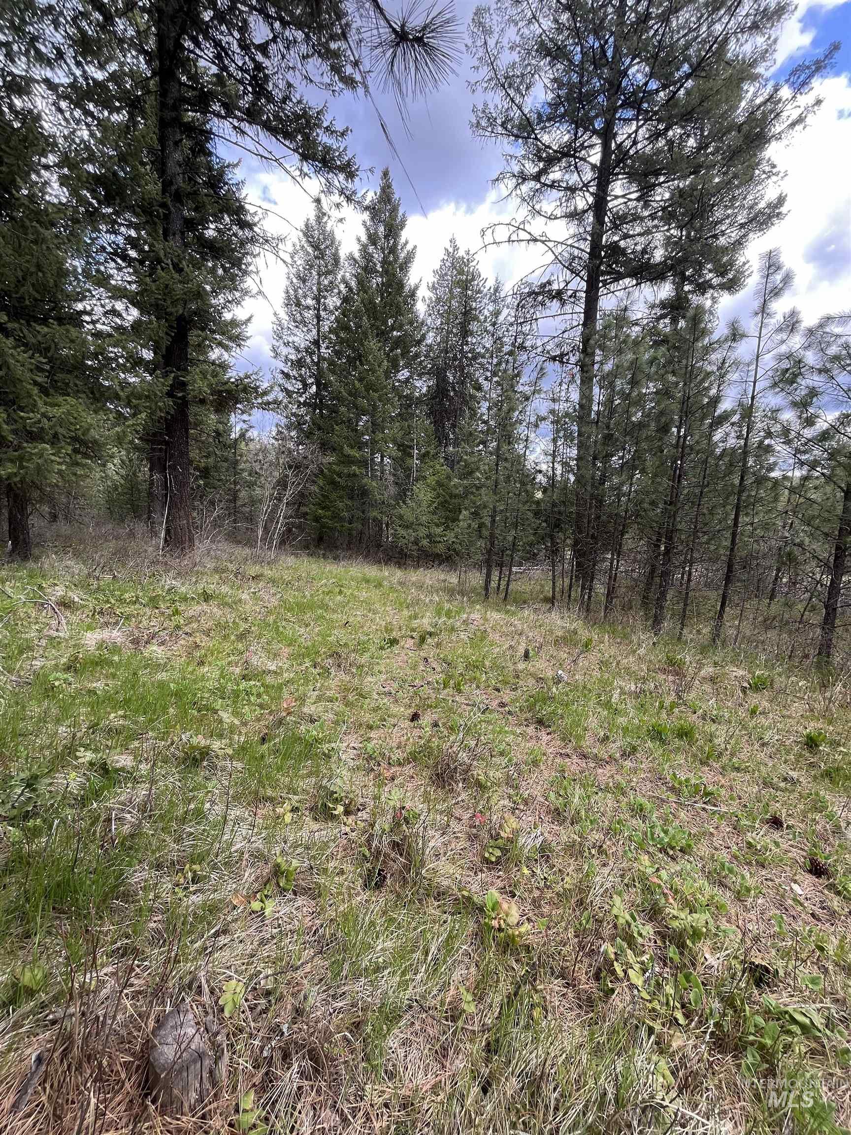 TBD HWY 3, Deary, Idaho 83823, Land For Sale, Price $125,000,MLS 98944810
