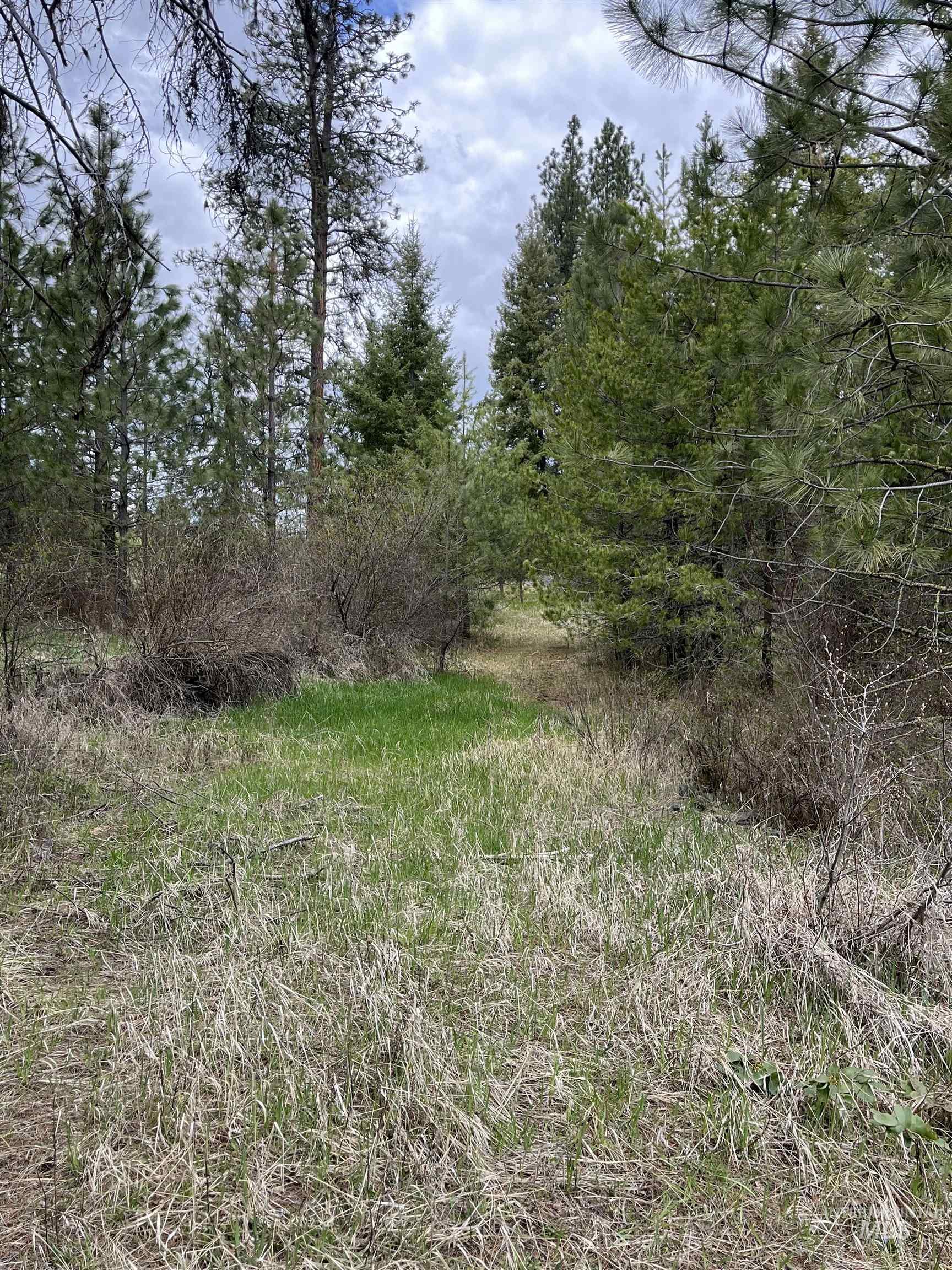 TBD HWY 3, Deary, Idaho 83823, Land For Sale, Price $125,000,MLS 98944810