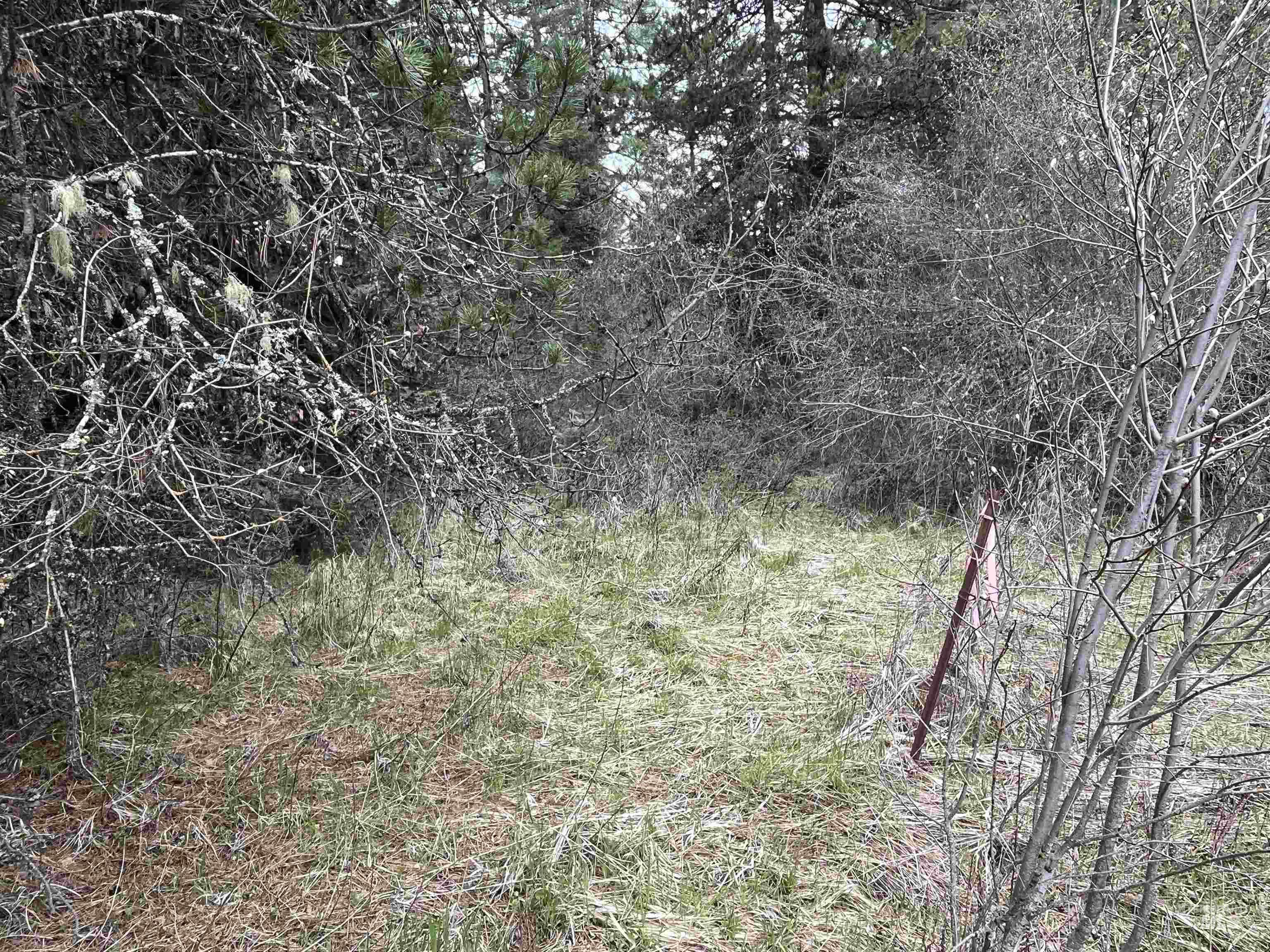 TBD HWY 3, Deary, Idaho 83823, Land For Sale, Price $125,000,MLS 98944810