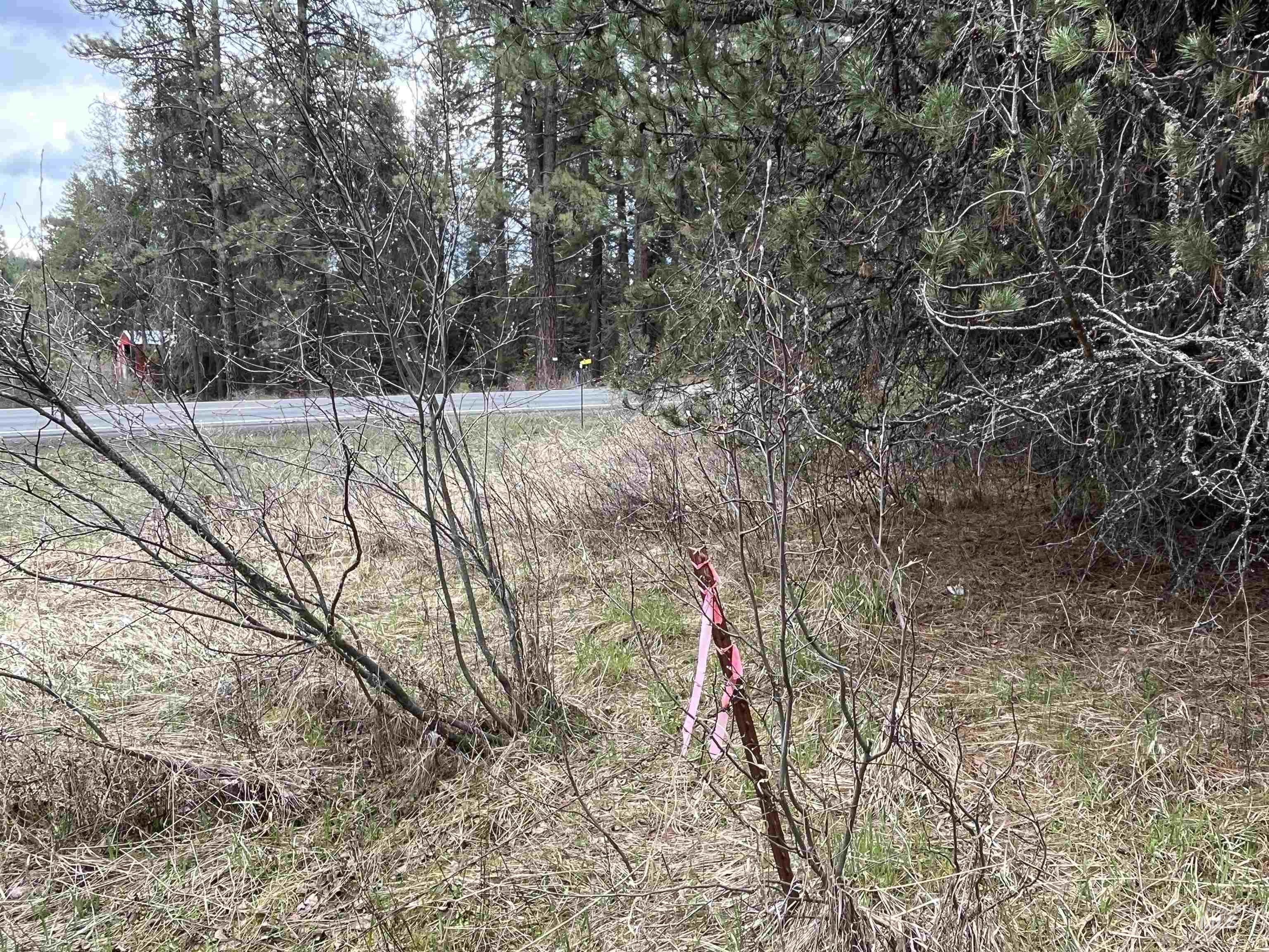 TBD HWY 3, Deary, Idaho 83823, Land For Sale, Price $125,000,MLS 98944810