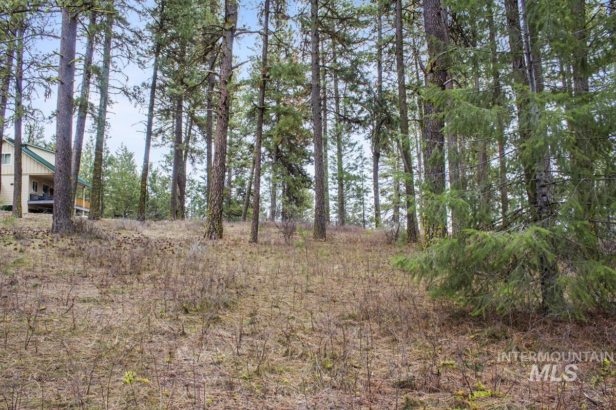L1 B3 Opal Drive, High Valley, Idaho 83611, Land For Sale, Price $214,950, 98944880