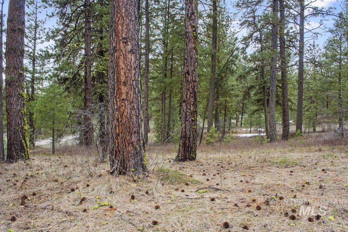 L1 B3 Opal Drive, High Valley, Idaho 83611, Land For Sale, Price $214,950, 98944880
