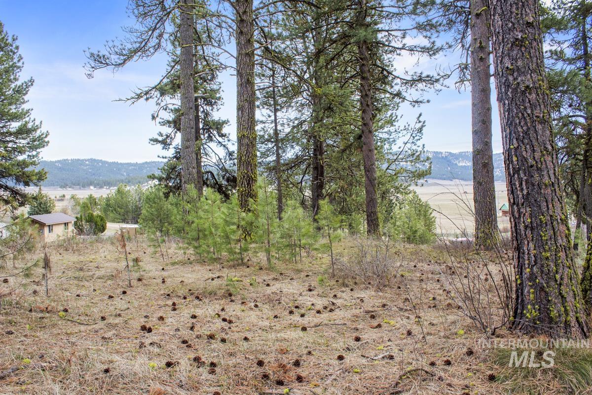 L1 B3 Opal Drive, High Valley, Idaho 83611, Land For Sale, Price $214,950, 98944880