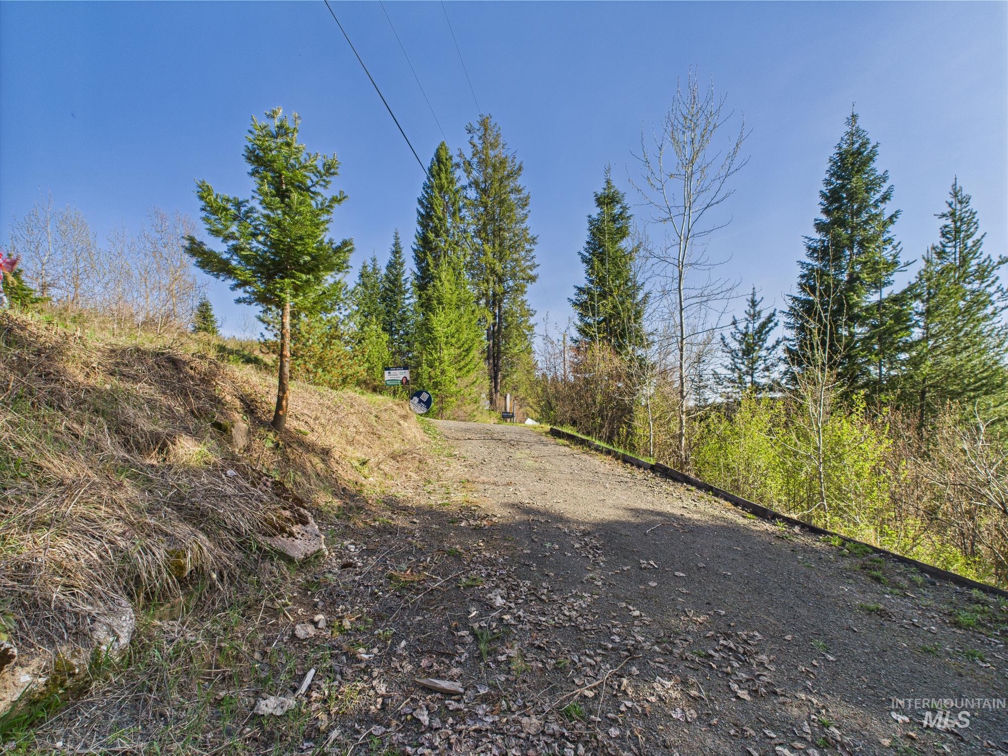121 court st, Pierce, Idaho 83546, 2 Bedrooms, 1 Bathroom, Residential For Sale, Price $99,000,MLS 98944968