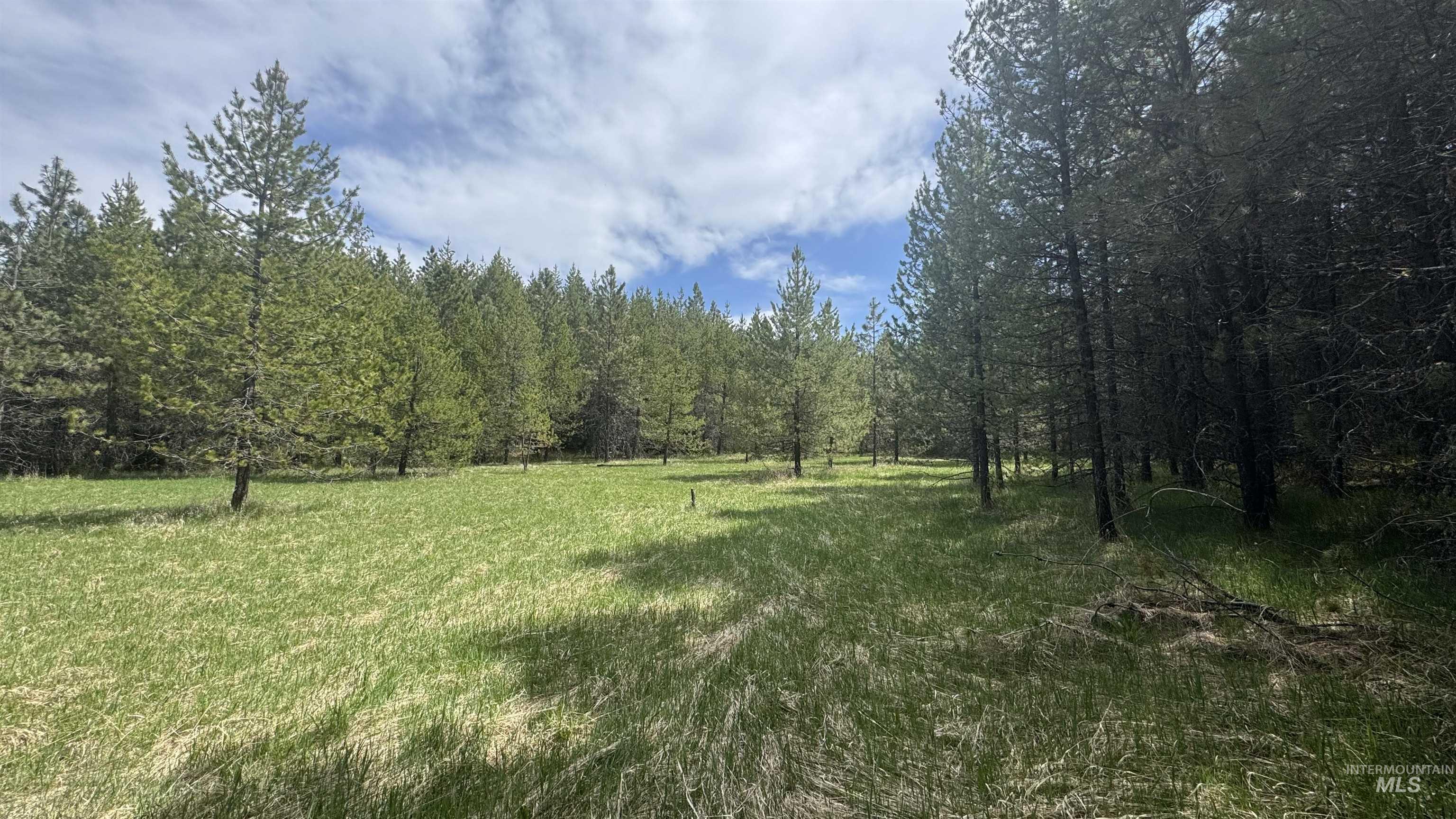 TBD Parcel 17-Bandmill Heights, Orofino, Idaho 83554, Land For Sale, Price $235,400,MLS 98944985