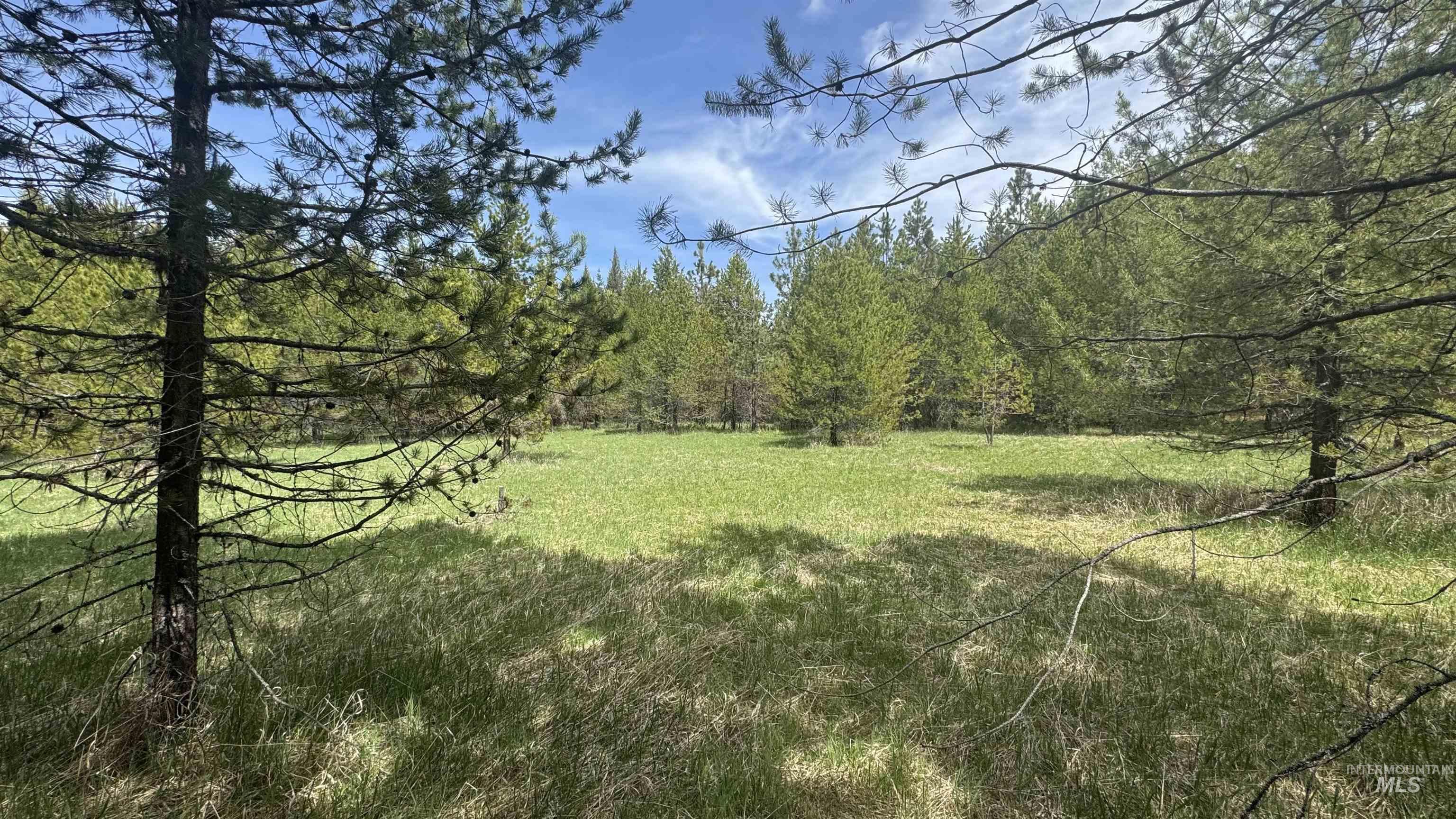 TBD Parcel 17-Bandmill Heights, Orofino, Idaho 83554, Land For Sale, Price $235,400,MLS 98944985