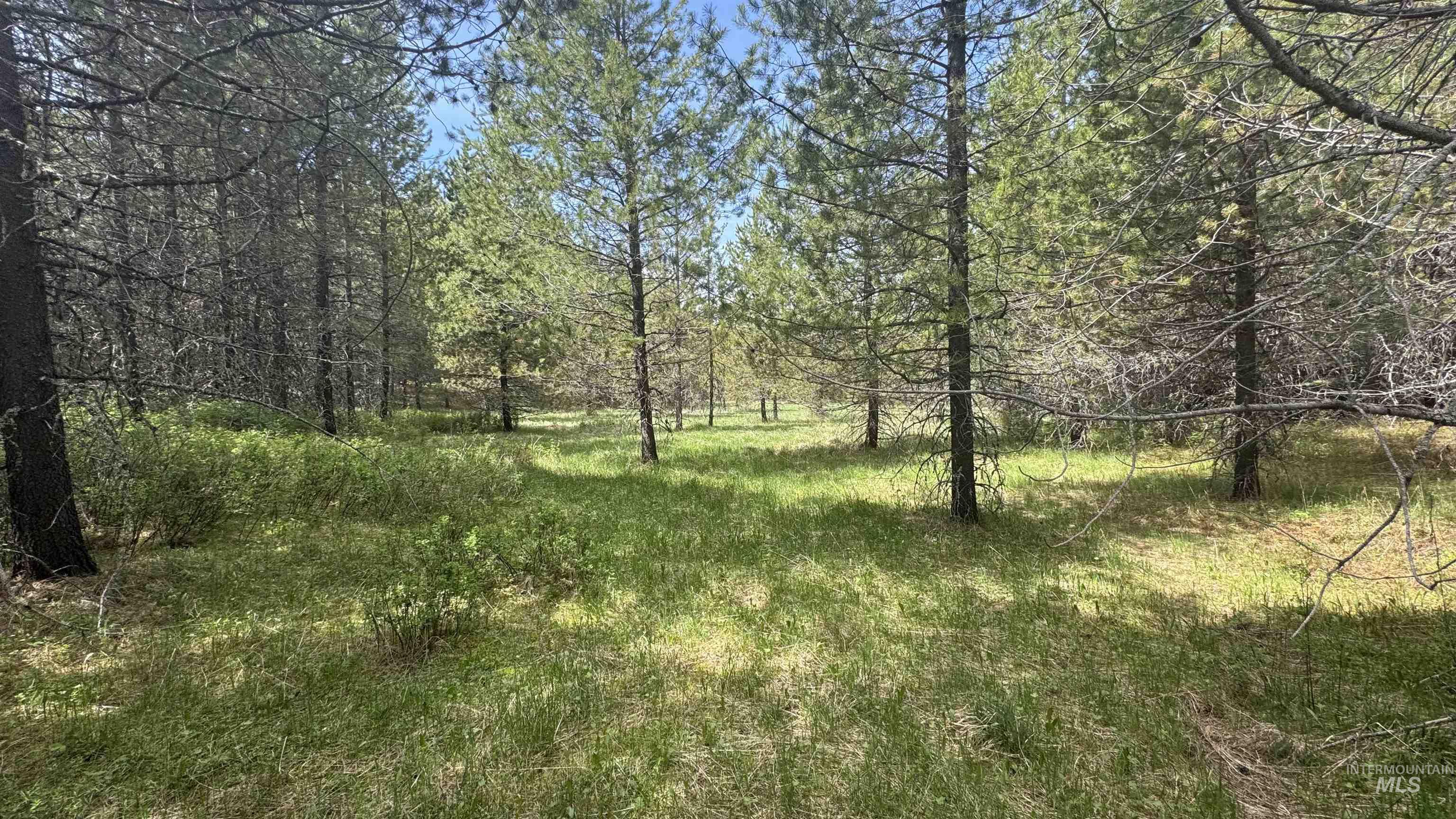 TBD Parcel 17-Bandmill Heights, Orofino, Idaho 83554, Land For Sale, Price $235,400,MLS 98944985