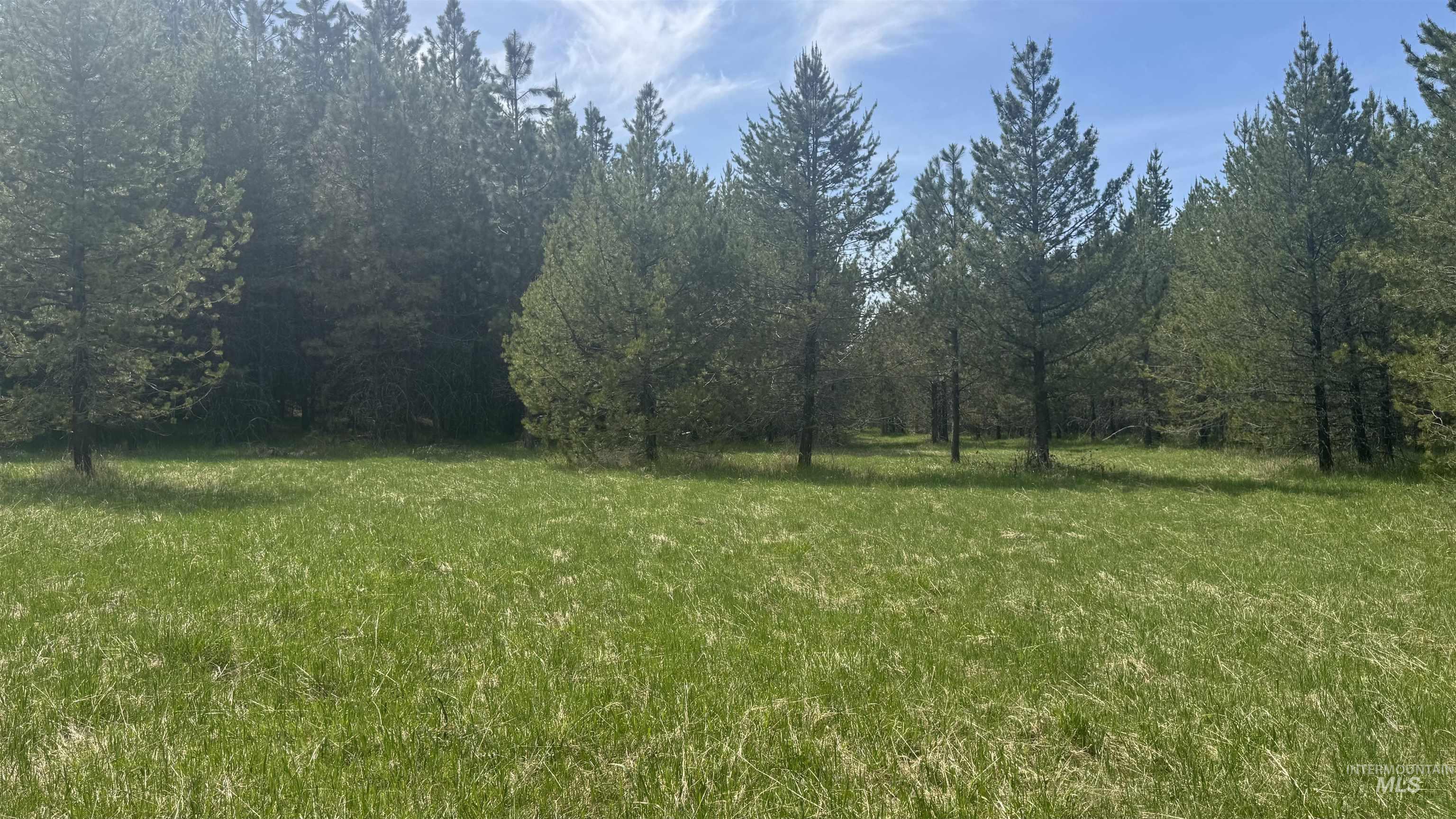 TBD Parcel 17-Bandmill Heights, Orofino, Idaho 83554, Land For Sale, Price $235,400,MLS 98944985