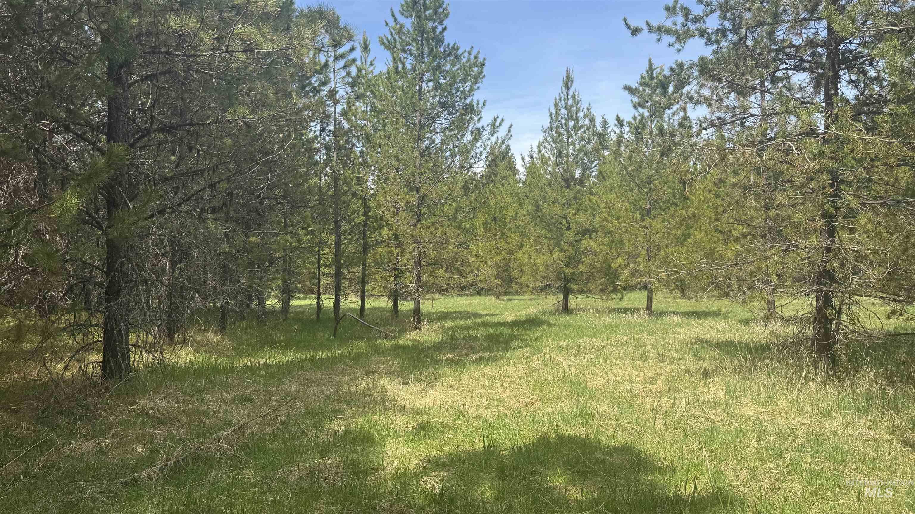TBD Parcel 17-Bandmill Heights, Orofino, Idaho 83554, Land For Sale, Price $235,400,MLS 98944985
