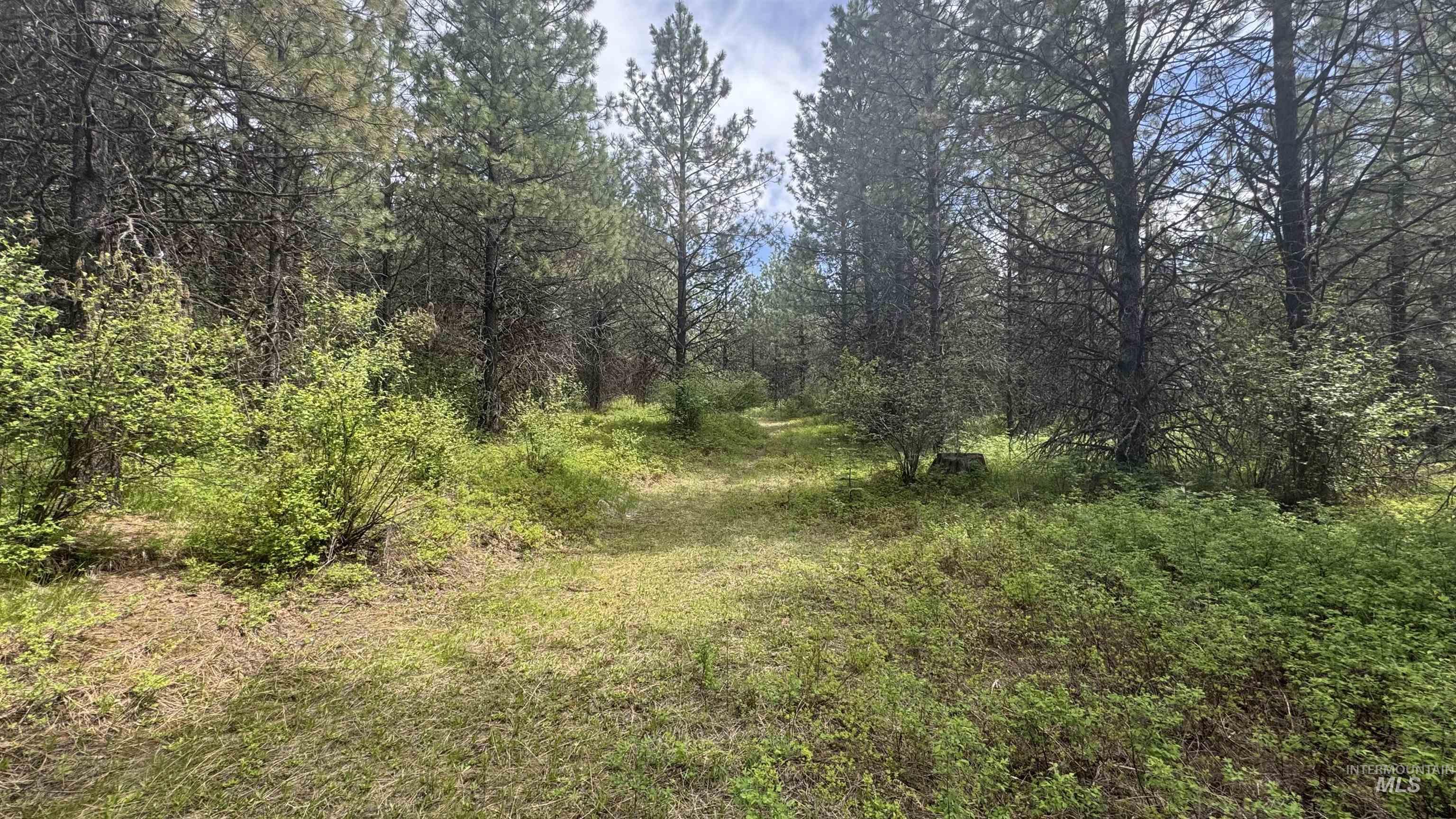 TBD Parcel 17-Bandmill Heights, Orofino, Idaho 83554, Land For Sale, Price $235,400,MLS 98944985