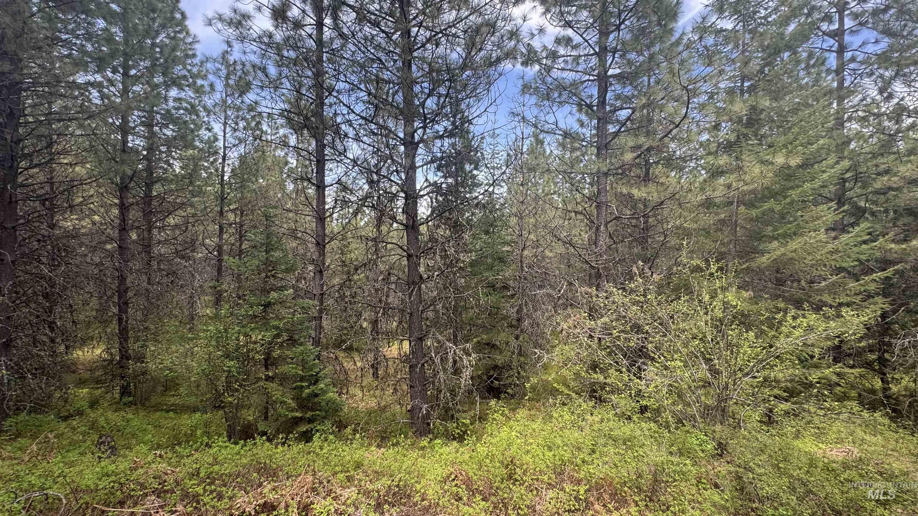 TBD Parcel 17-Bandmill Heights, Orofino, Idaho 83554, Land For Sale, Price $235,400,MLS 98944985