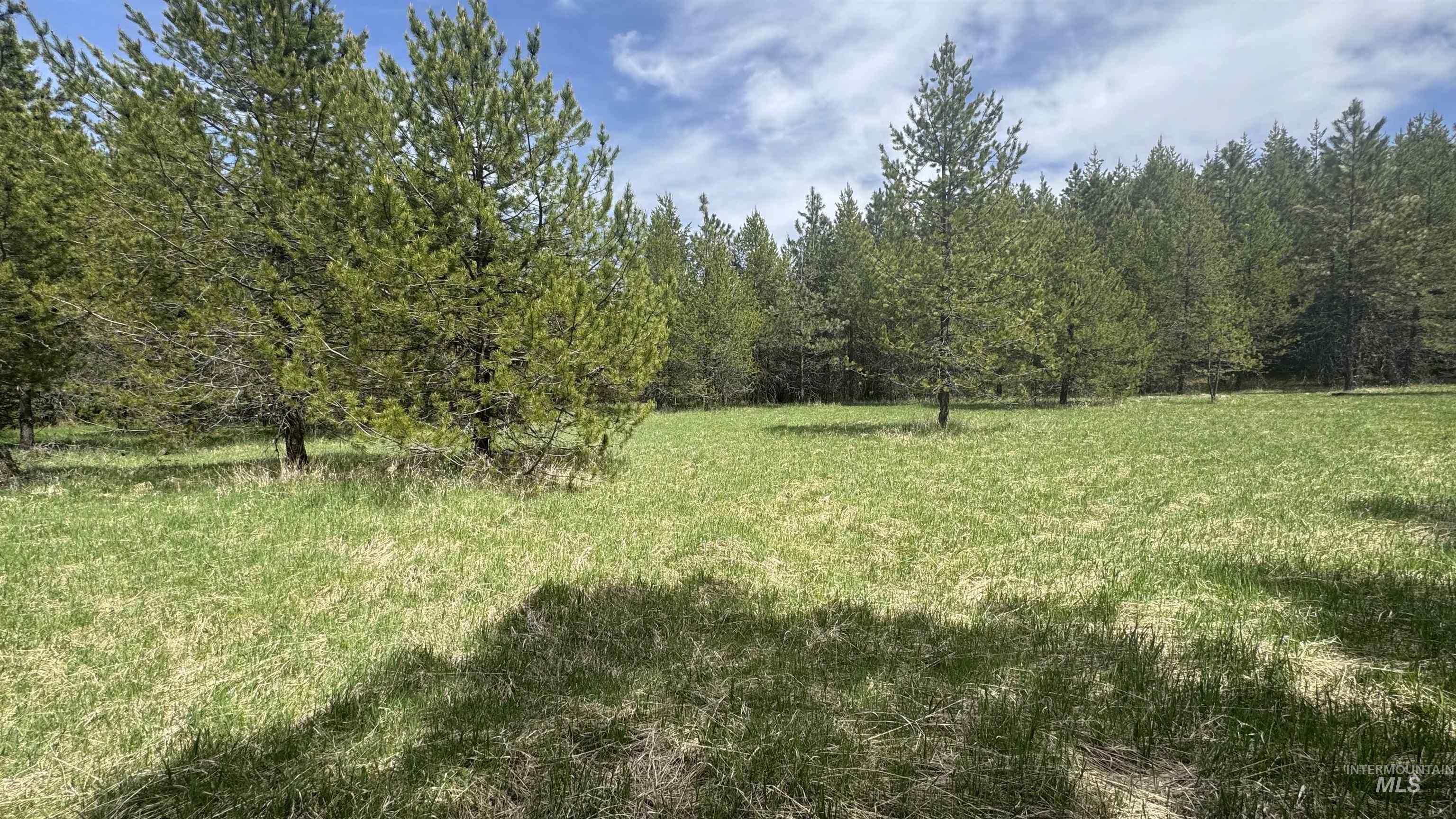 TBD Parcel 17-Bandmill Heights, Orofino, Idaho 83554, Land For Sale, Price $235,400,MLS 98944985