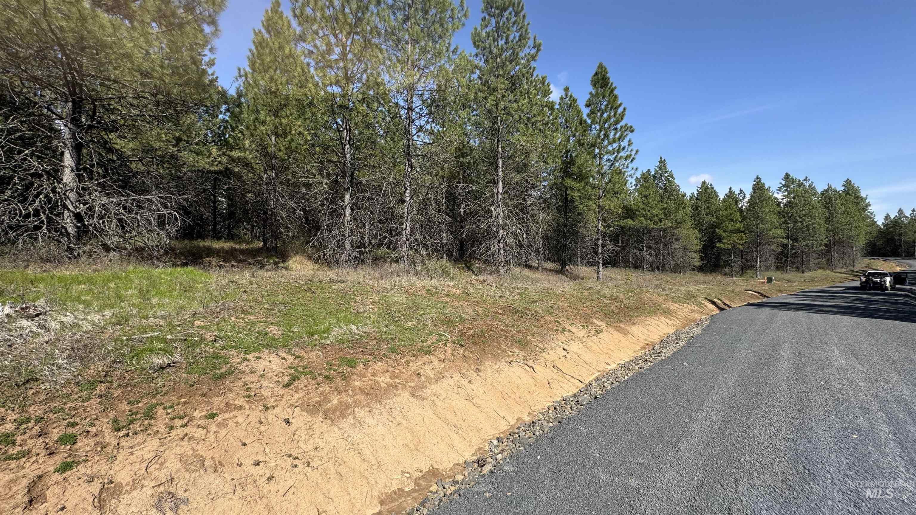 TBD Parcel 17-Bandmill Heights, Orofino, Idaho 83554, Land For Sale, Price $235,400,MLS 98944985