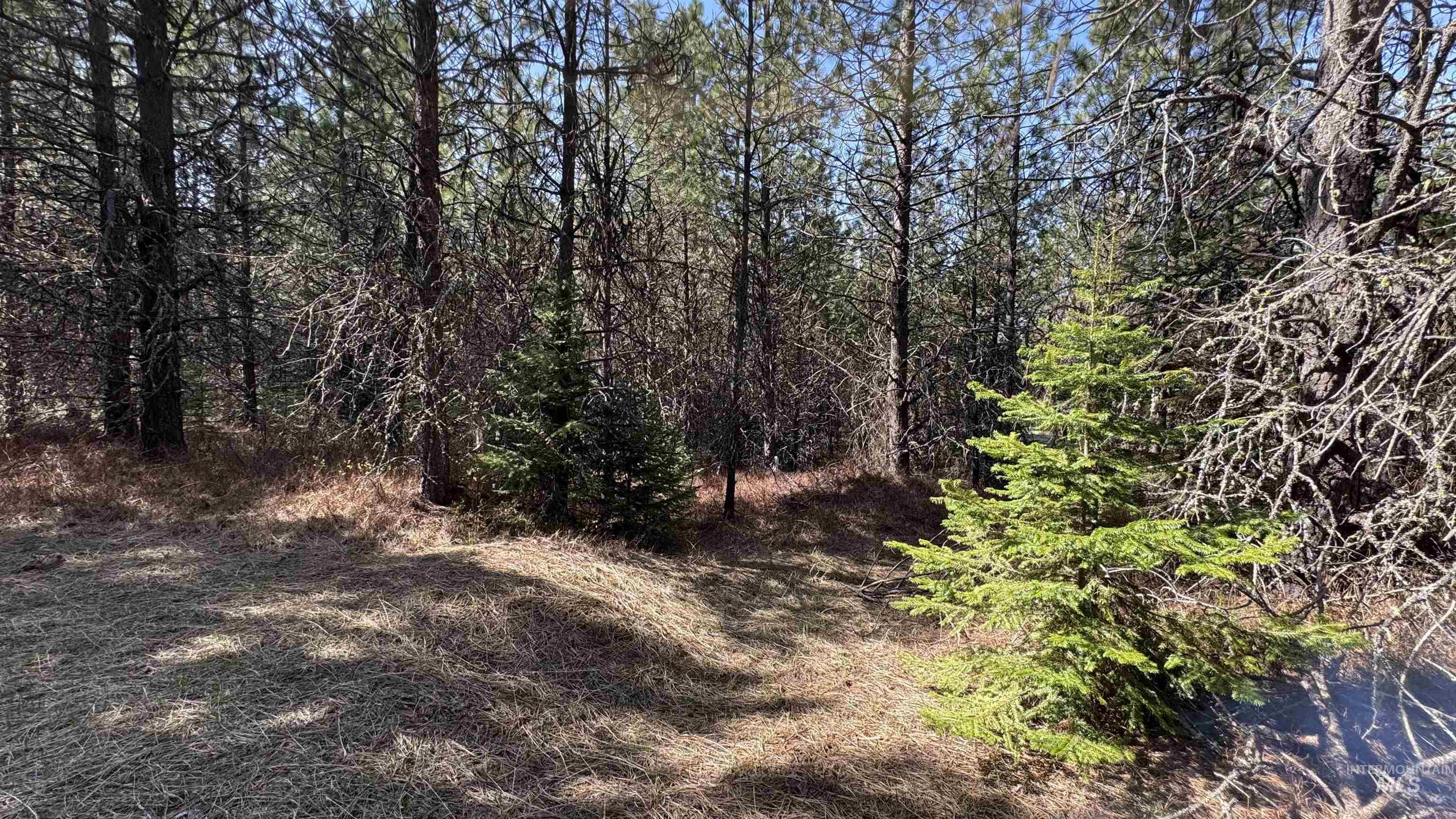 TBD Parcel 17-Bandmill Heights, Orofino, Idaho 83554, Land For Sale, Price $235,400,MLS 98944985