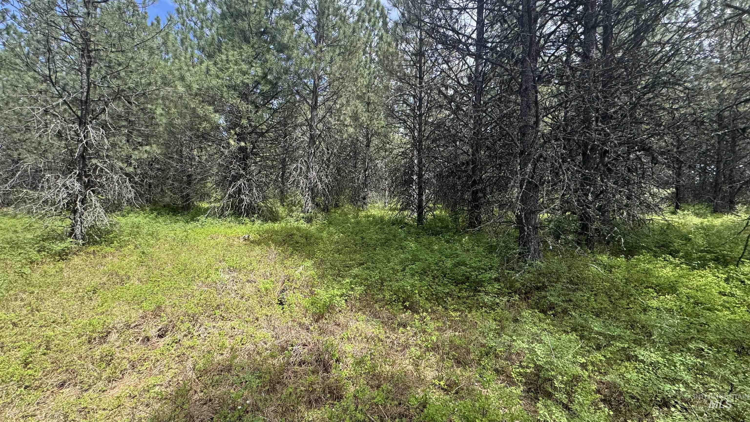 TBD Parcel 17-Bandmill Heights, Orofino, Idaho 83554, Land For Sale, Price $235,400,MLS 98944985