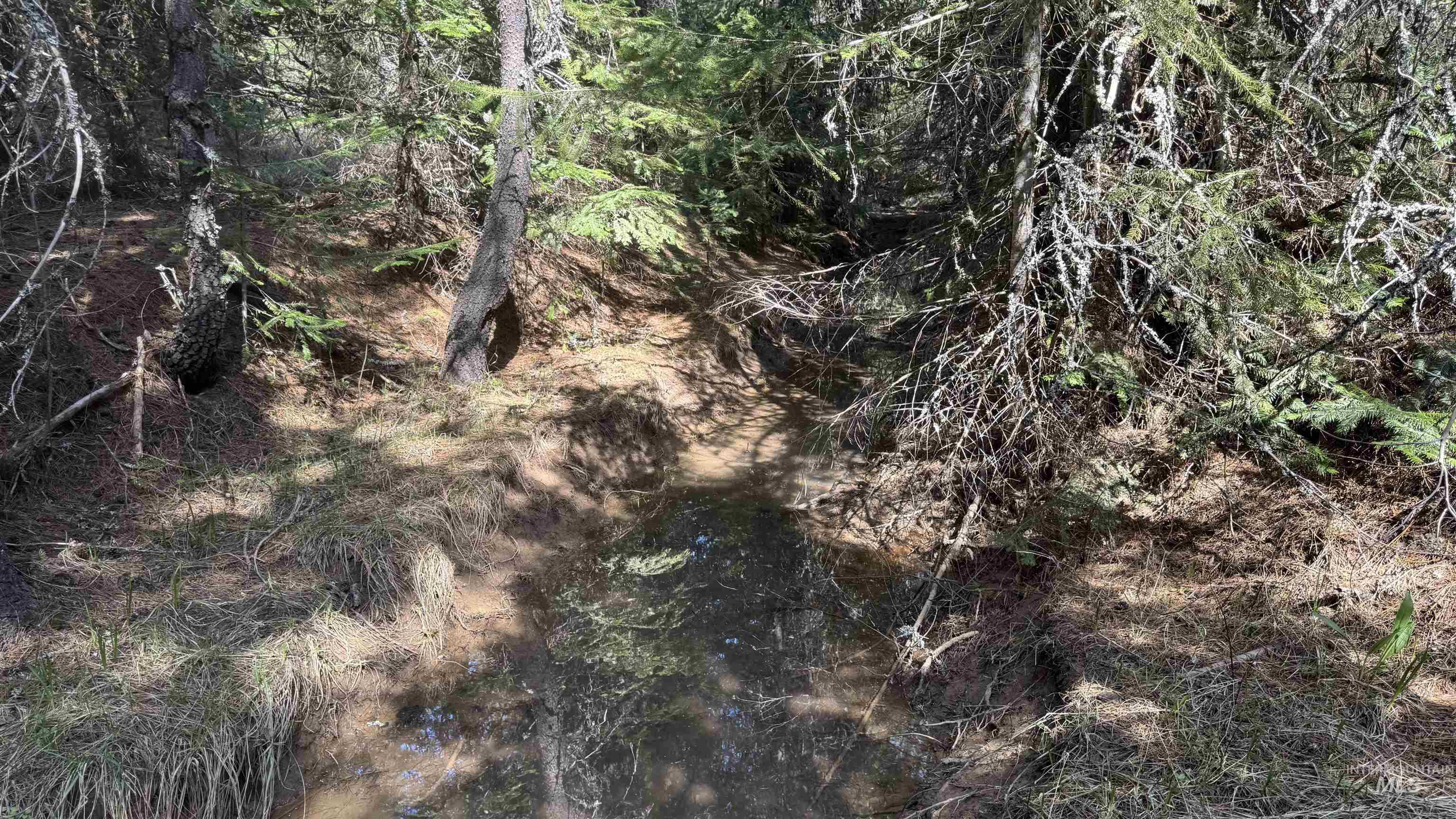 TBD Parcel 17-Bandmill Heights, Orofino, Idaho 83554, Land For Sale, Price $235,400,MLS 98944985