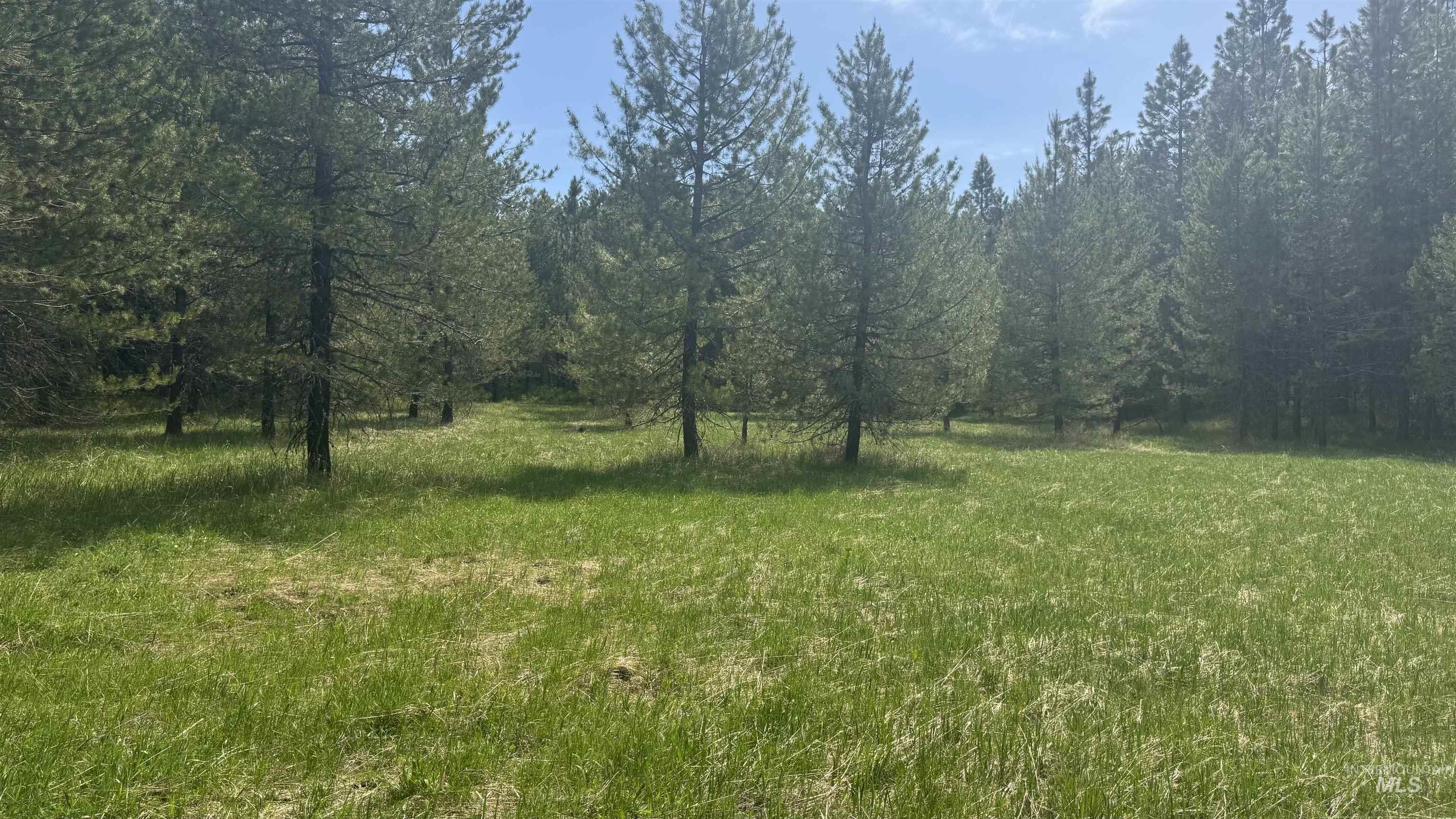 TBD Parcel 17-Bandmill Heights, Orofino, Idaho 83554, Land For Sale, Price $235,400,MLS 98944985