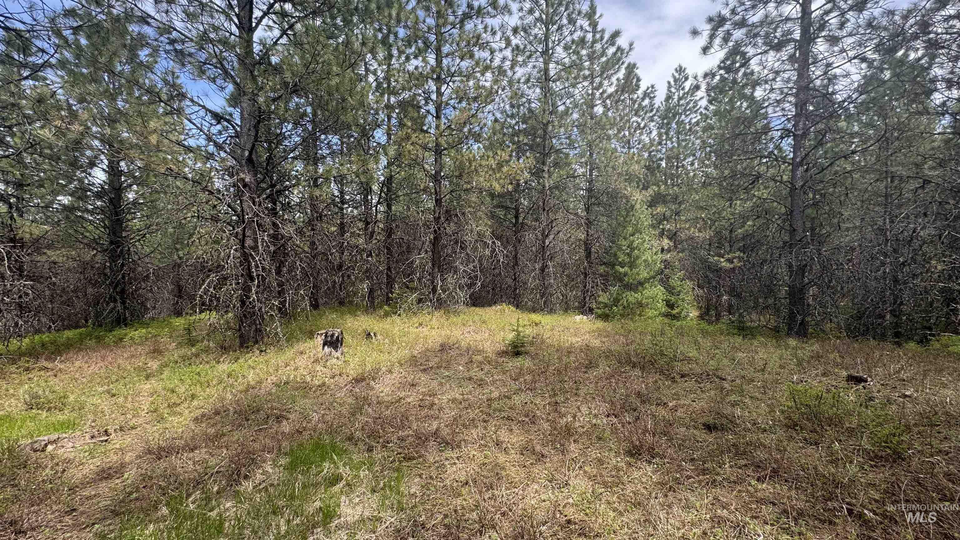 TBD Parcel 17-Bandmill Heights, Orofino, Idaho 83554, Land For Sale, Price $235,400,MLS 98944985