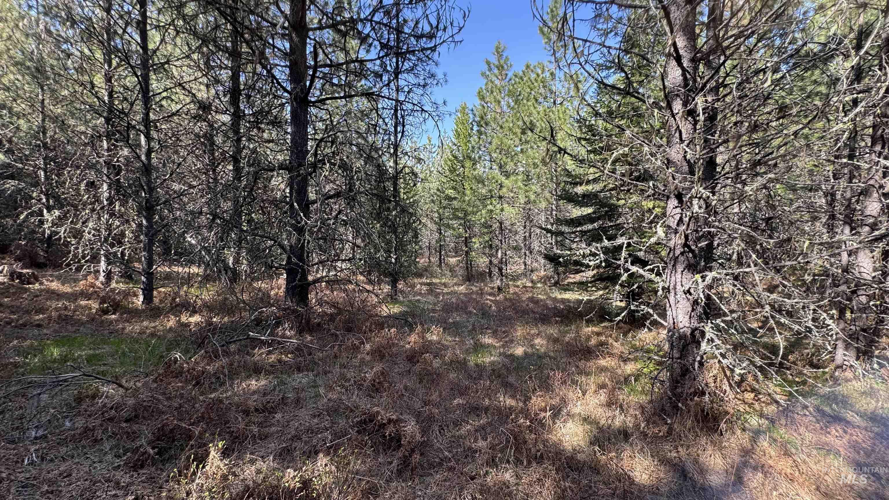 TBD Parcel 17-Bandmill Heights, Orofino, Idaho 83554, Land For Sale, Price $235,400,MLS 98944985