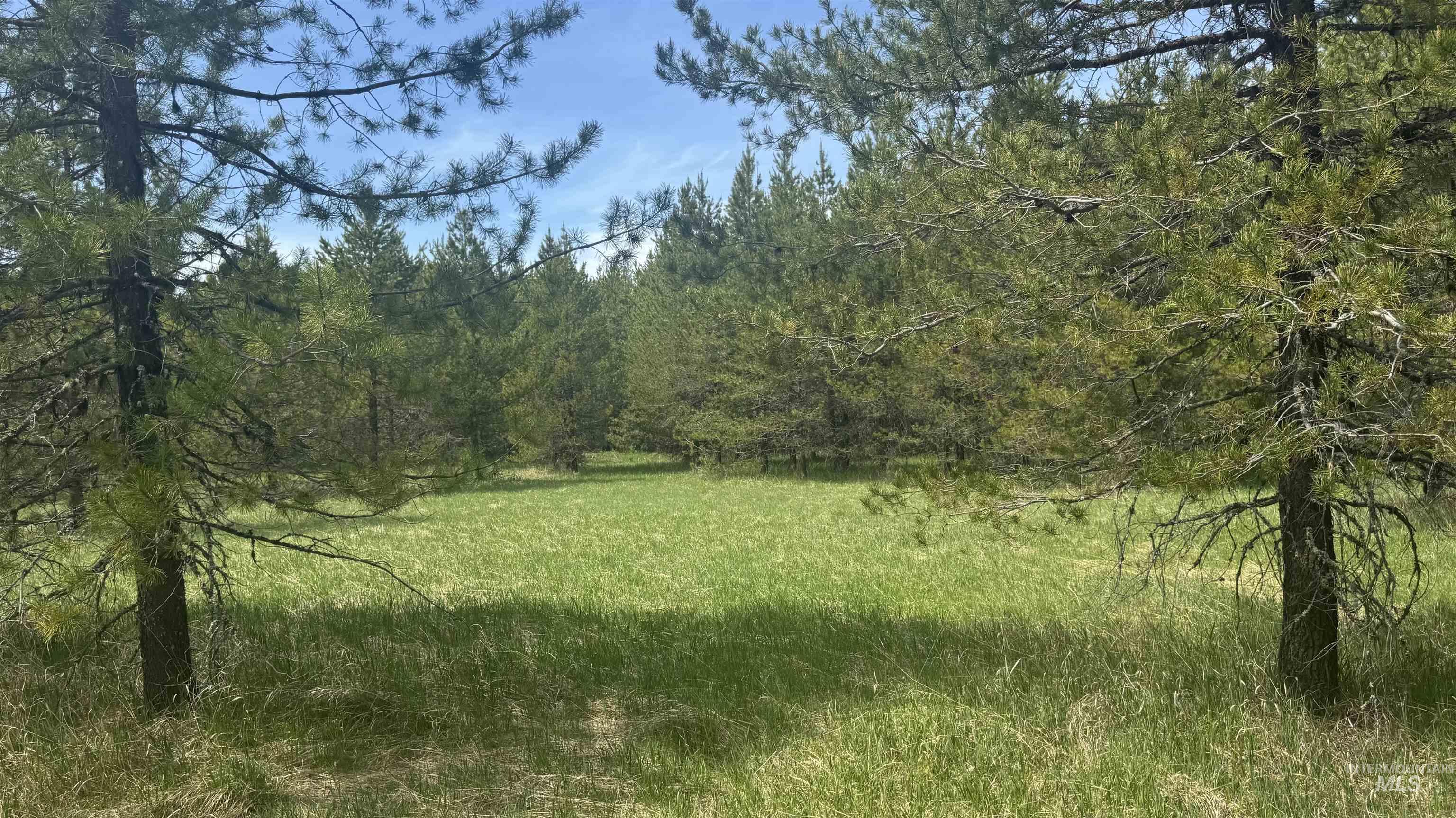 TBD Parcel 17-Bandmill Heights, Orofino, Idaho 83554, Land For Sale, Price $235,400,MLS 98944985
