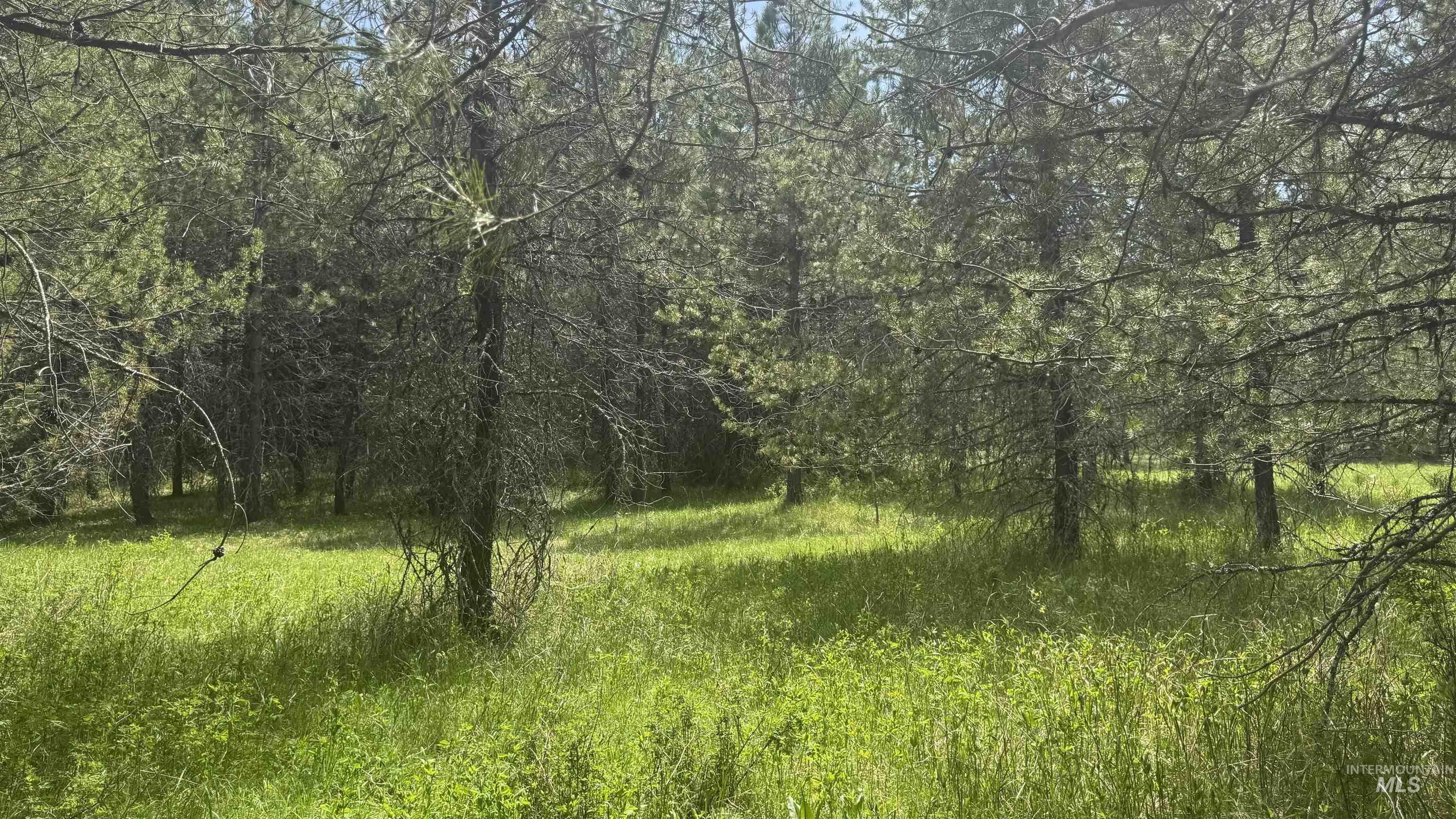 TBD Parcel 17-Bandmill Heights, Orofino, Idaho 83554, Land For Sale, Price $235,400,MLS 98944985
