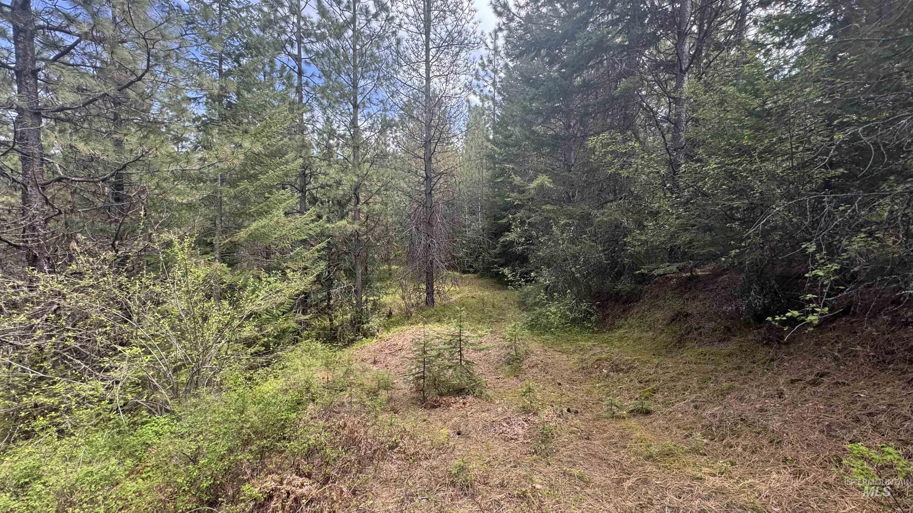 TBD Parcel 17-Bandmill Heights, Orofino, Idaho 83554, Land For Sale, Price $235,400,MLS 98944985