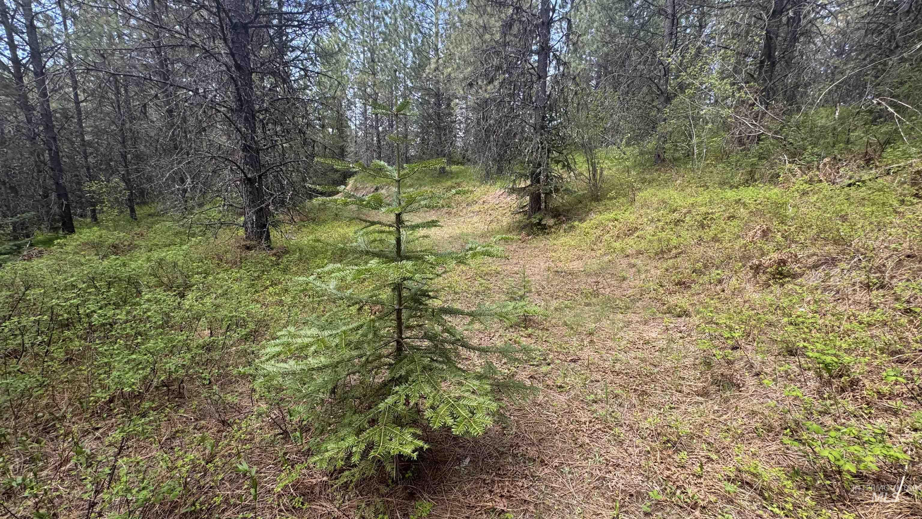 TBD Parcel 17-Bandmill Heights, Orofino, Idaho 83554, Land For Sale, Price $235,400,MLS 98944985