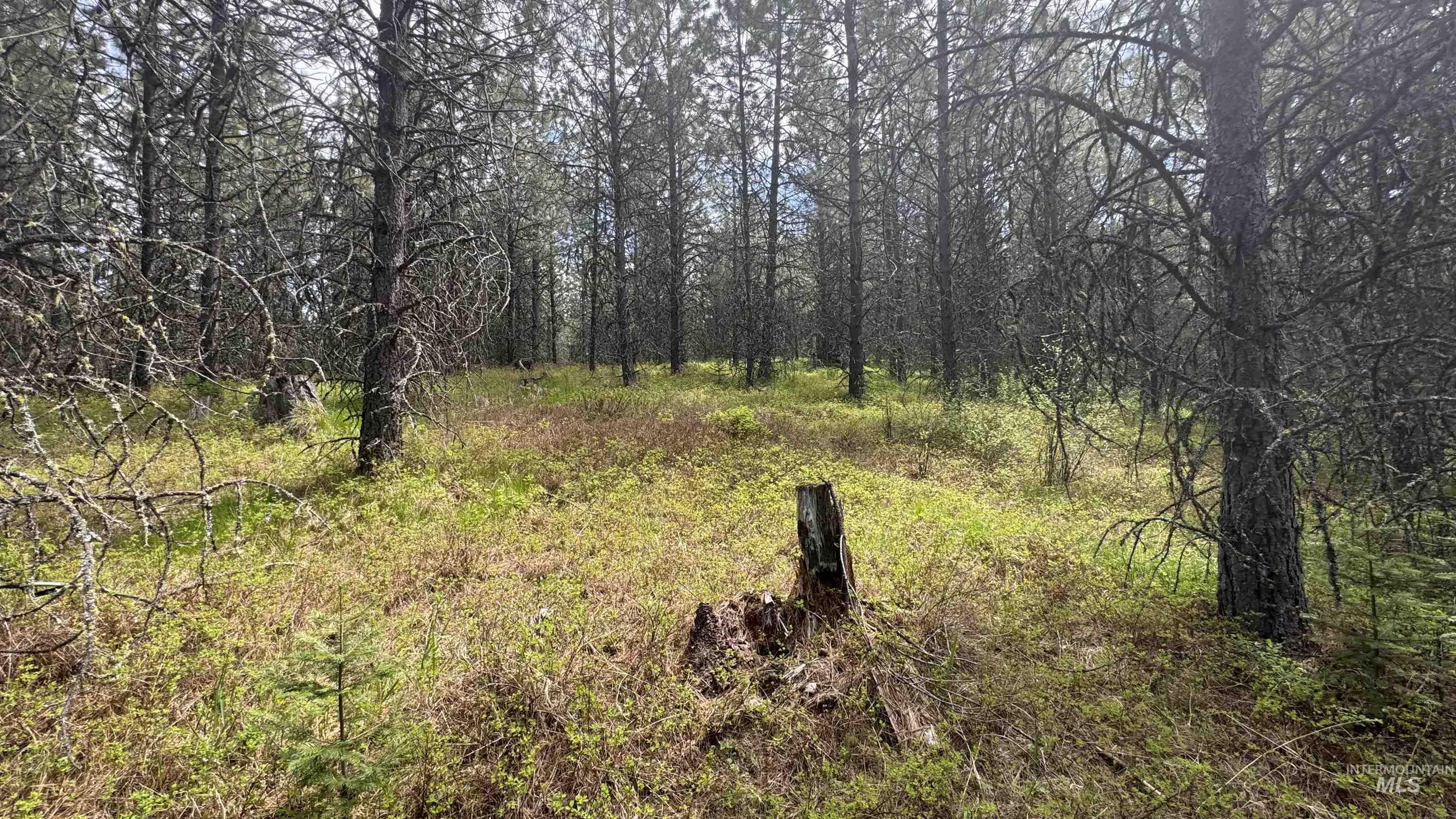 TBD Parcel 17-Bandmill Heights, Orofino, Idaho 83554, Land For Sale, Price $235,400,MLS 98944985