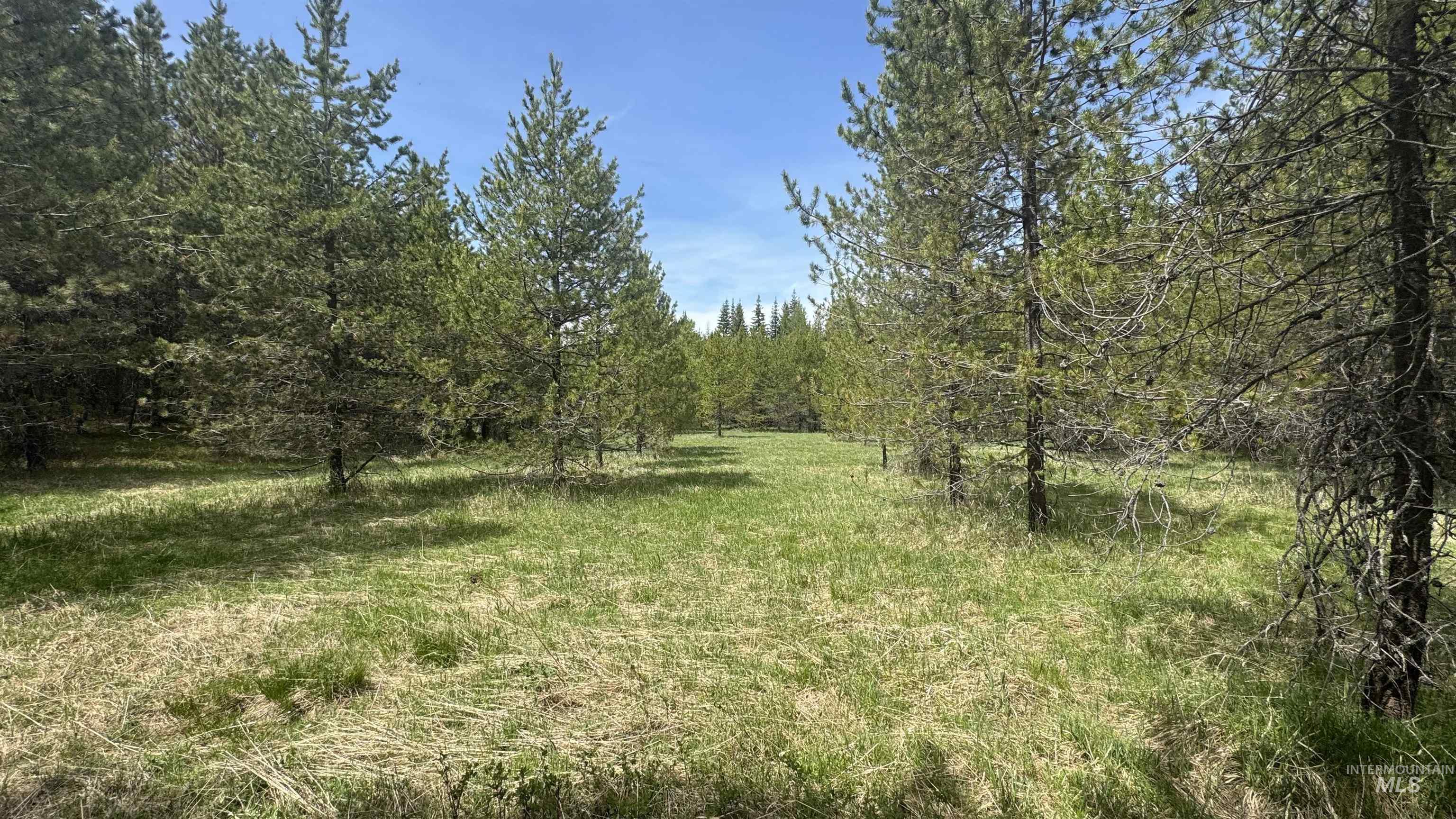 TBD Parcel 17-Bandmill Heights, Orofino, Idaho 83554, Land For Sale, Price $235,400,MLS 98944985