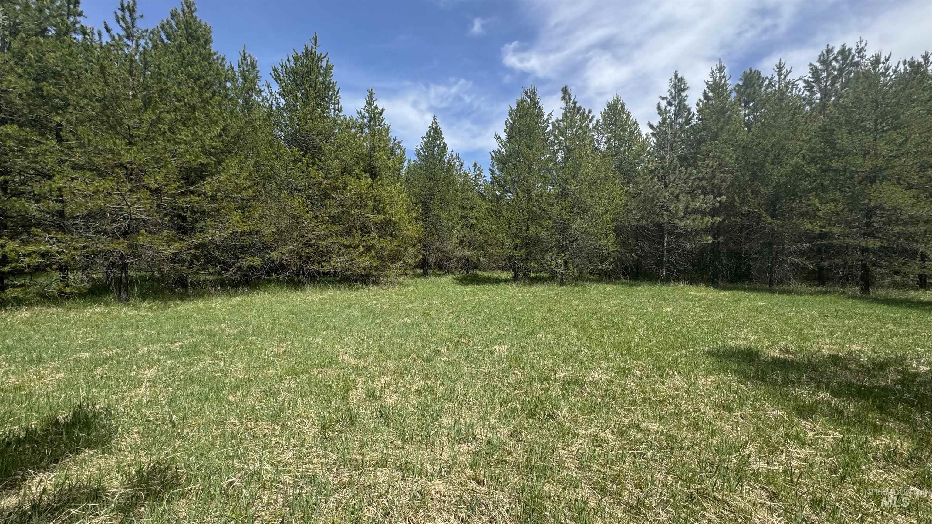 TBD Parcel 17-Bandmill Heights, Orofino, Idaho 83554, Land For Sale, Price $235,400,MLS 98944985