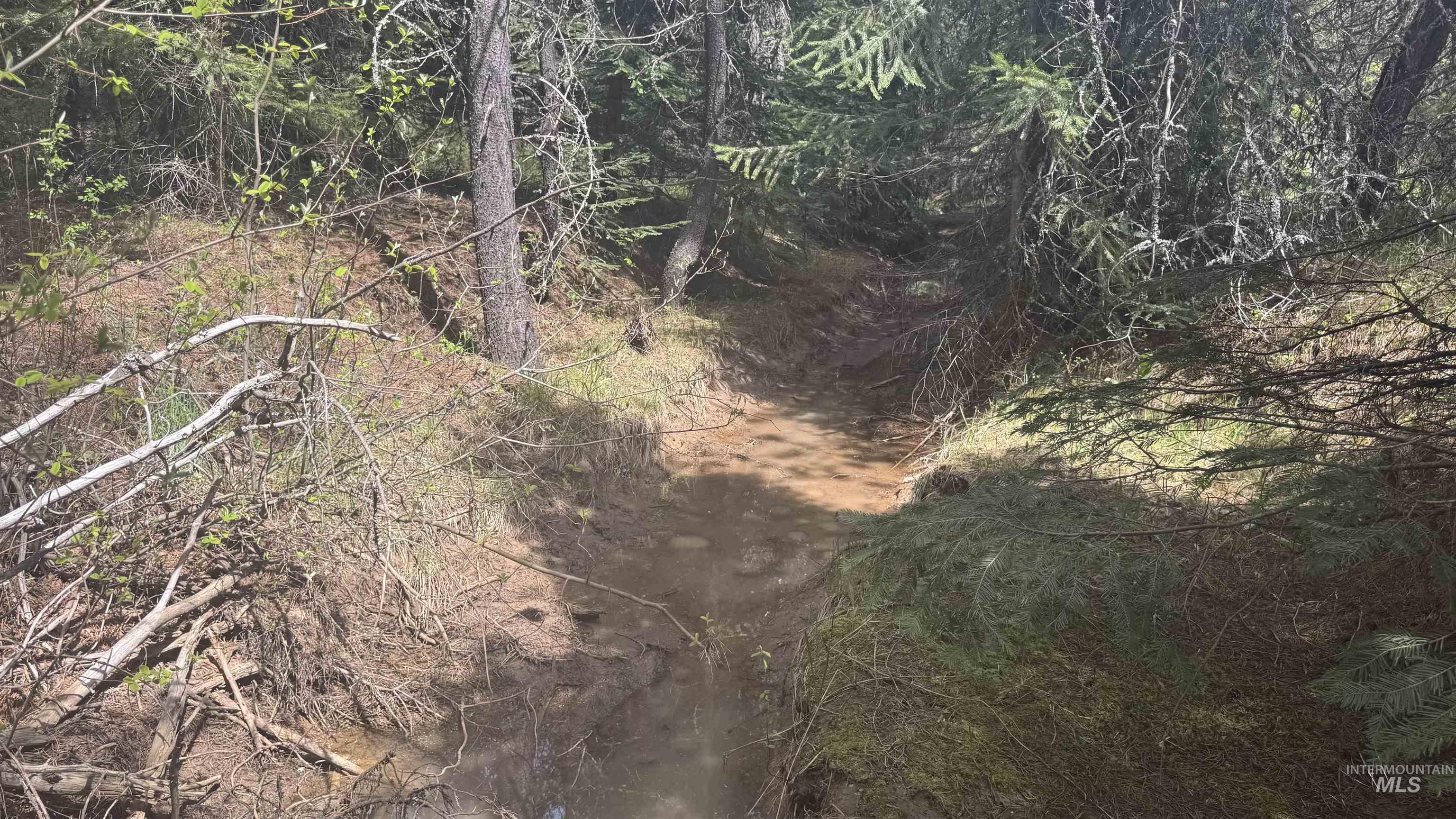 TBD Parcel 17-Bandmill Heights, Orofino, Idaho 83554, Land For Sale, Price $235,400,MLS 98944985