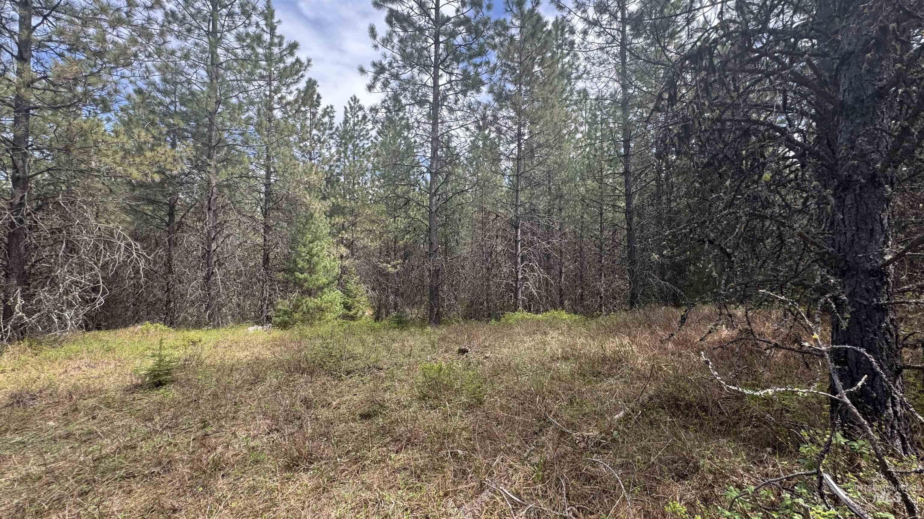 TBD Parcel 17-Bandmill Heights, Orofino, Idaho 83554, Land For Sale, Price $235,400,MLS 98944985