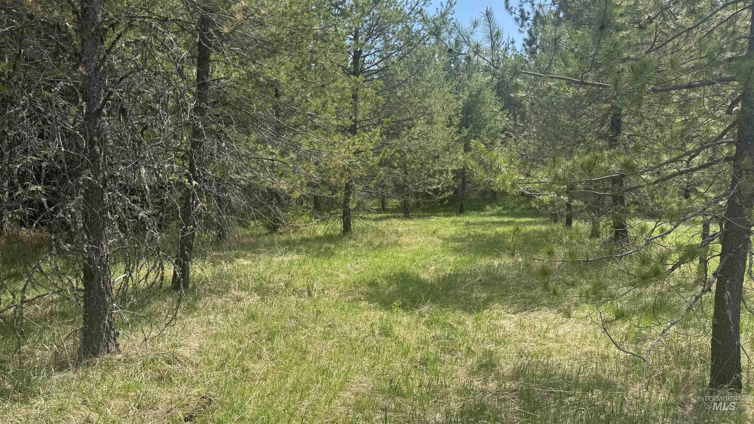 TBD Parcel 17-Bandmill Heights, Orofino, Idaho 83554, Land For Sale, Price $235,400,MLS 98944985