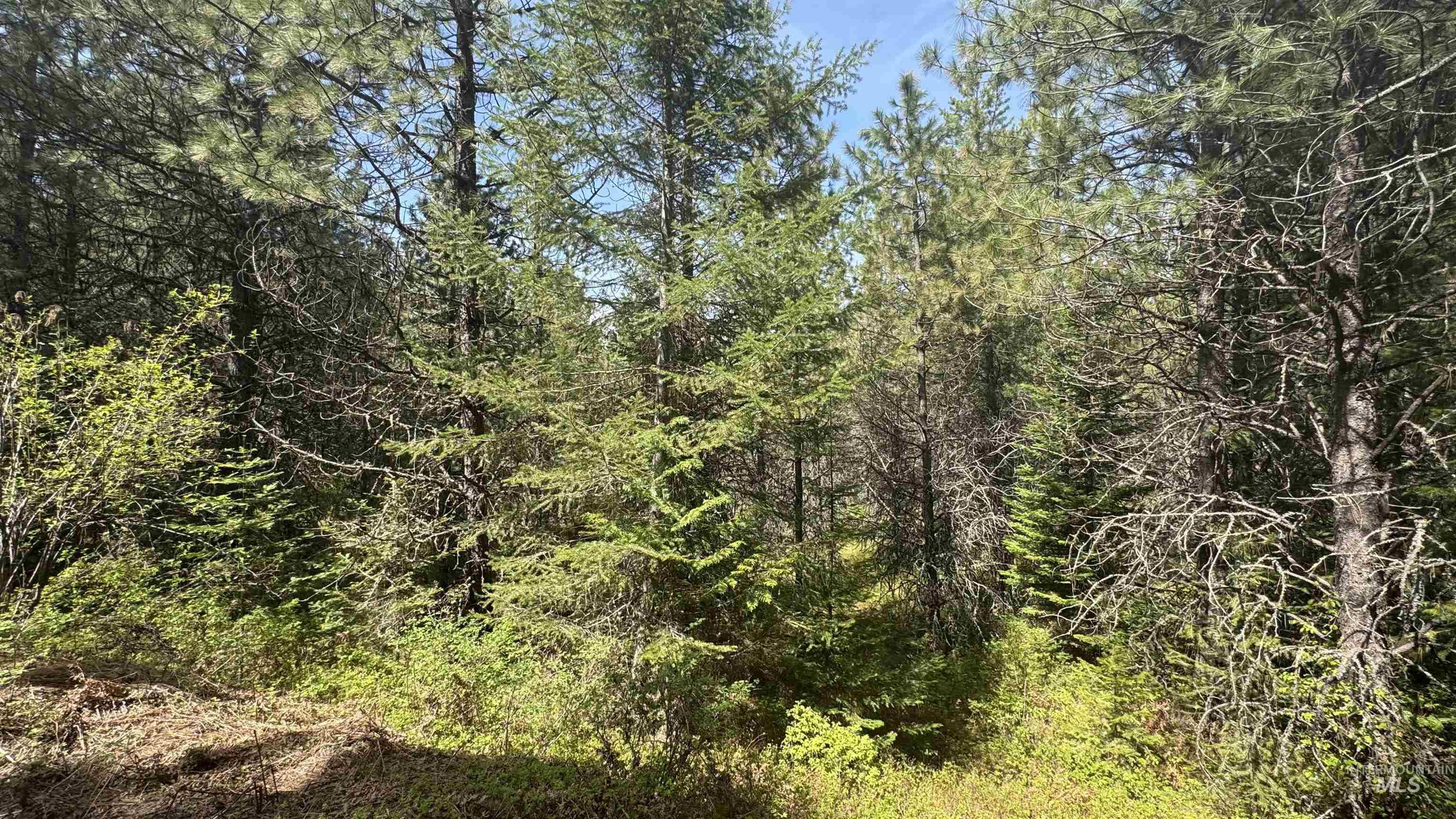 TBD Parcel 17-Bandmill Heights, Orofino, Idaho 83554, Land For Sale, Price $235,400,MLS 98944985