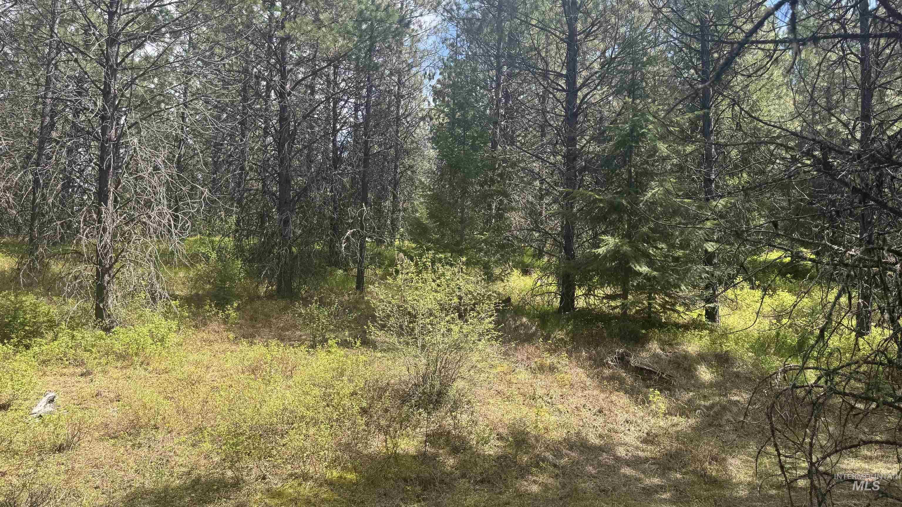 TBD Parcel 17-Bandmill Heights, Orofino, Idaho 83554, Land For Sale, Price $235,400,MLS 98944985