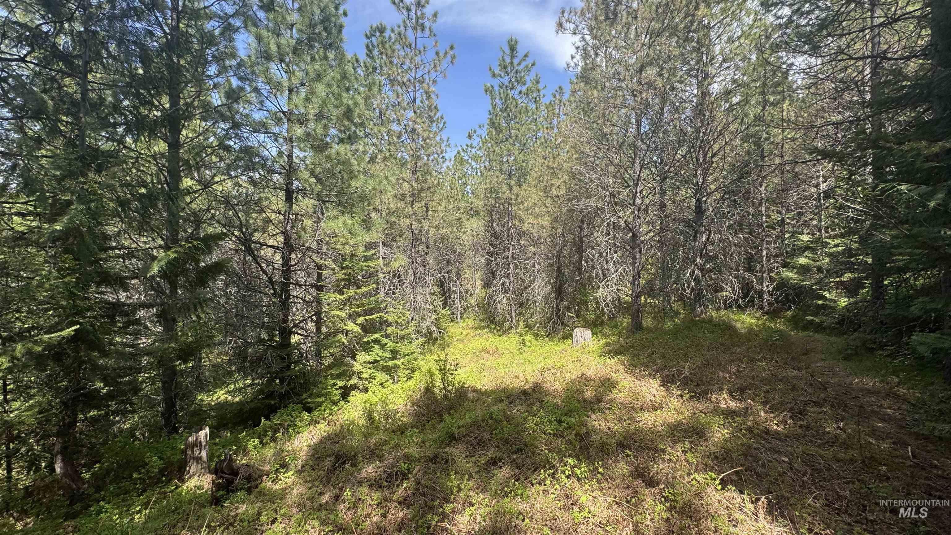 TBD Parcel 17-Bandmill Heights, Orofino, Idaho 83554, Land For Sale, Price $235,400,MLS 98944985