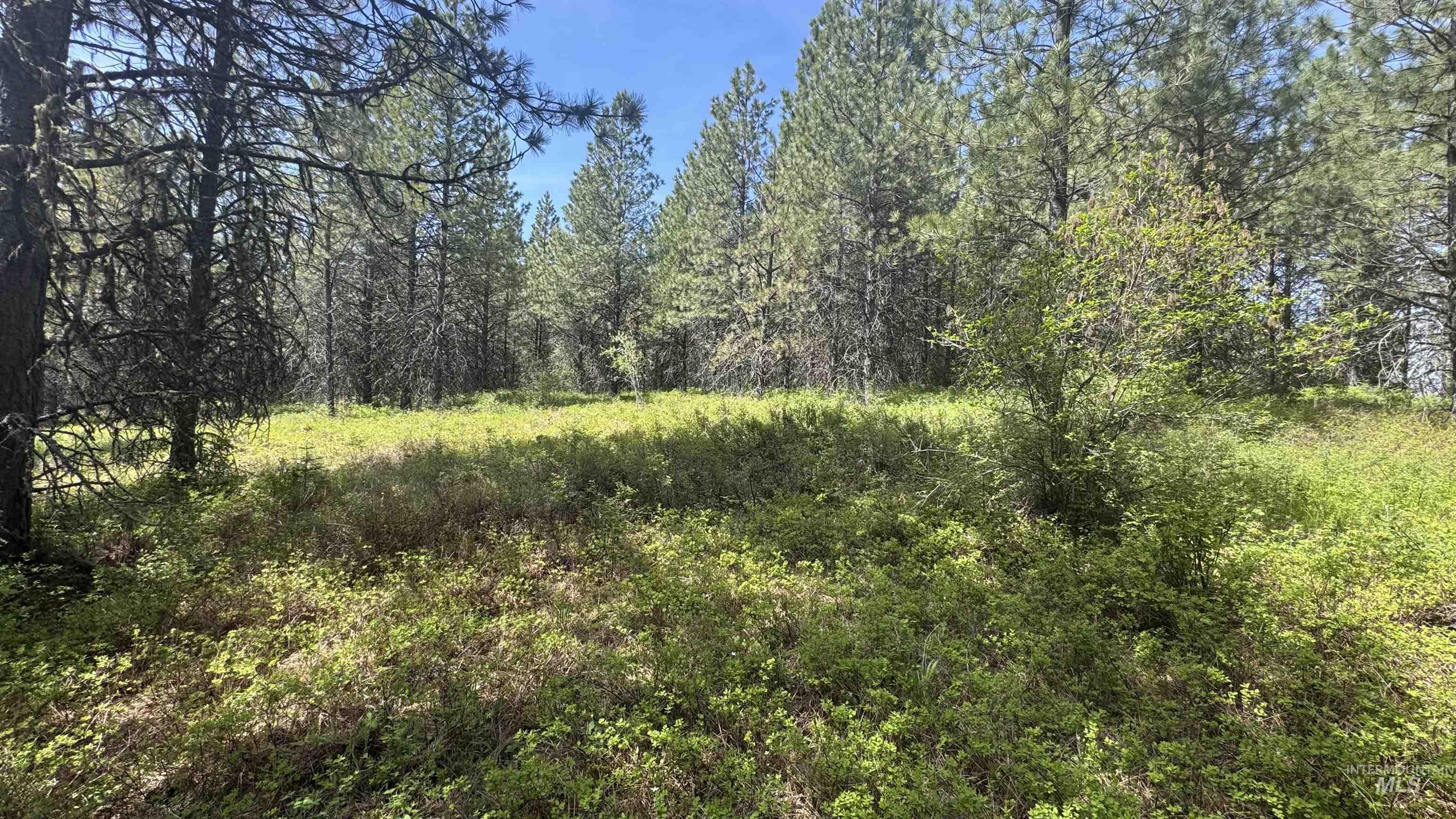 TBD Parcel 17-Bandmill Heights, Orofino, Idaho 83554, Land For Sale, Price $235,400,MLS 98944985