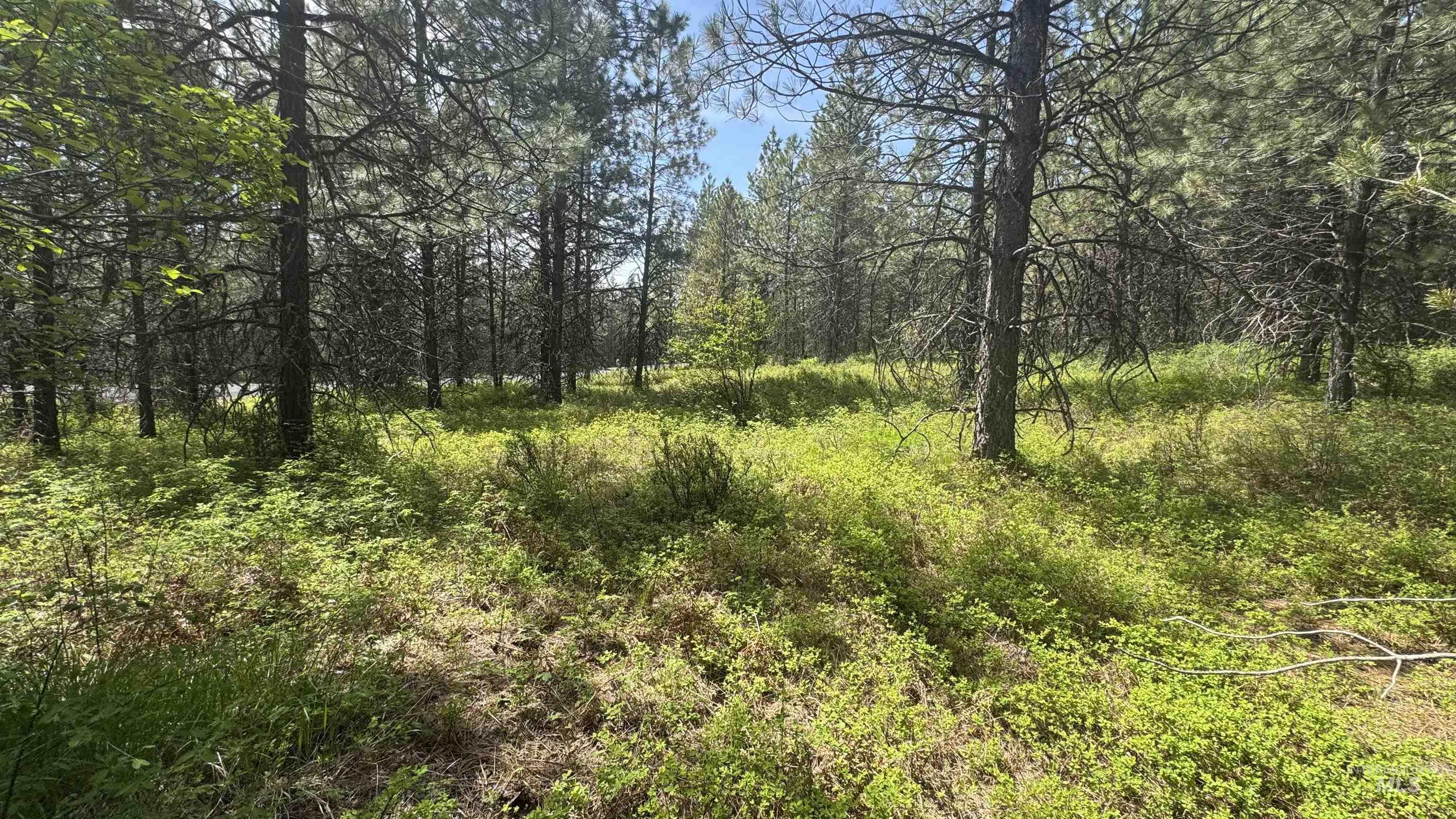 TBD Parcel 17-Bandmill Heights, Orofino, Idaho 83554, Land For Sale, Price $235,400,MLS 98944985