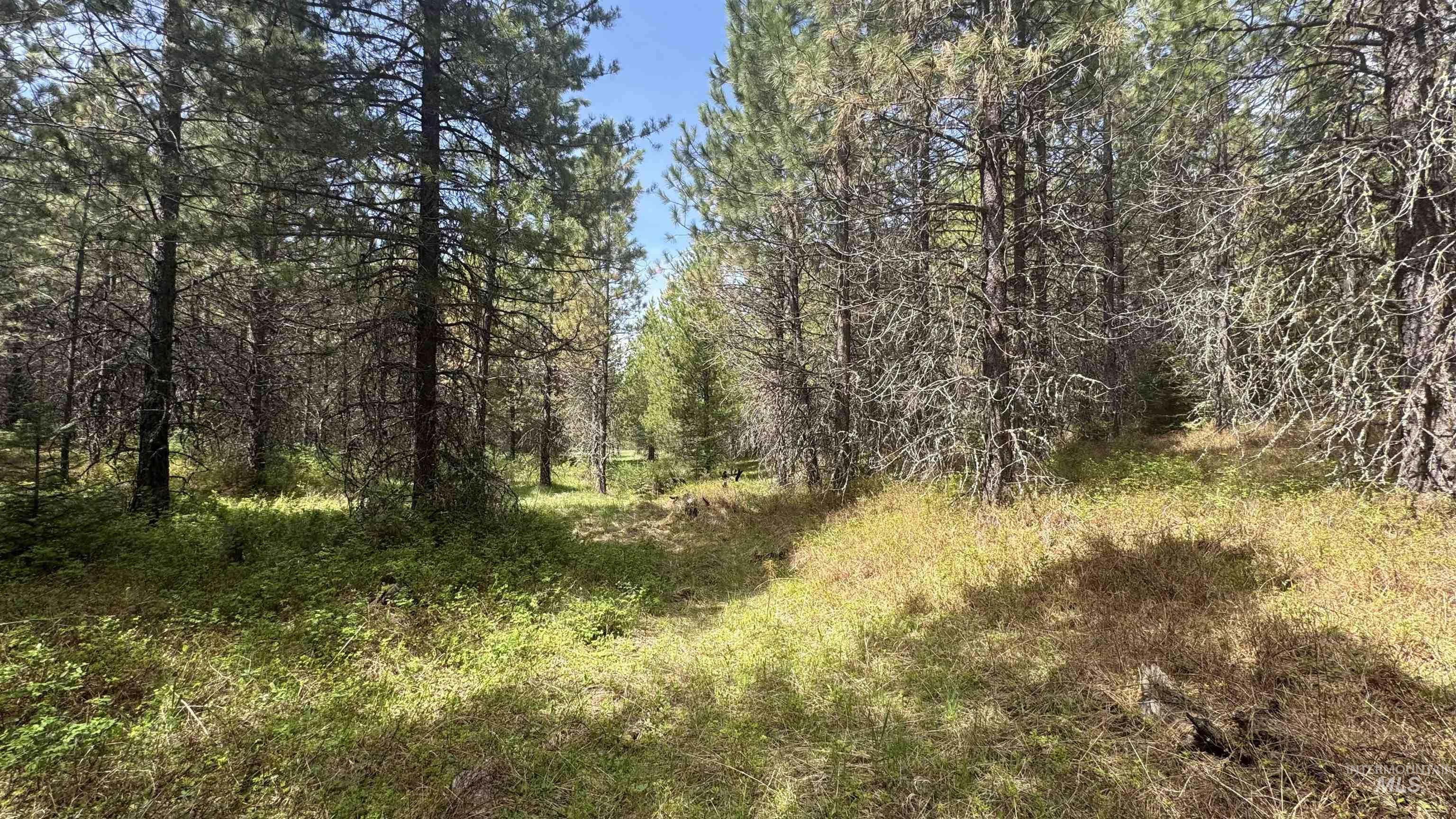 TBD Parcel 17-Bandmill Heights, Orofino, Idaho 83554, Land For Sale, Price $235,400,MLS 98944985